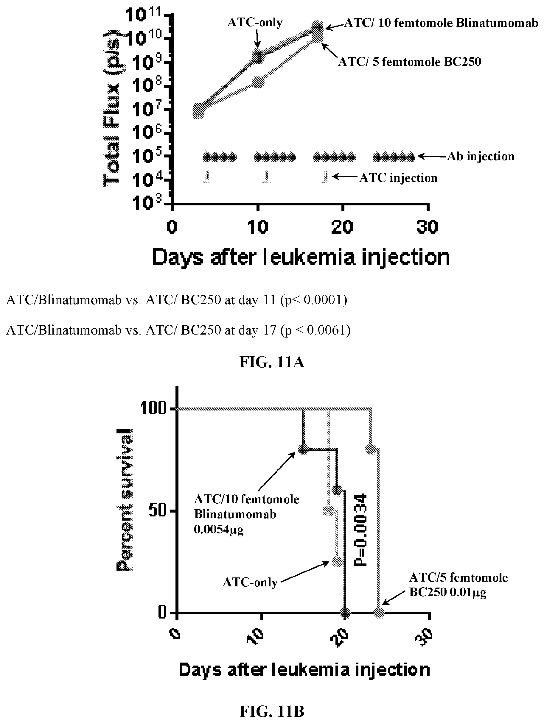 Patent US12612456 Figure 19 – CD19 antibodies and methods of using the same