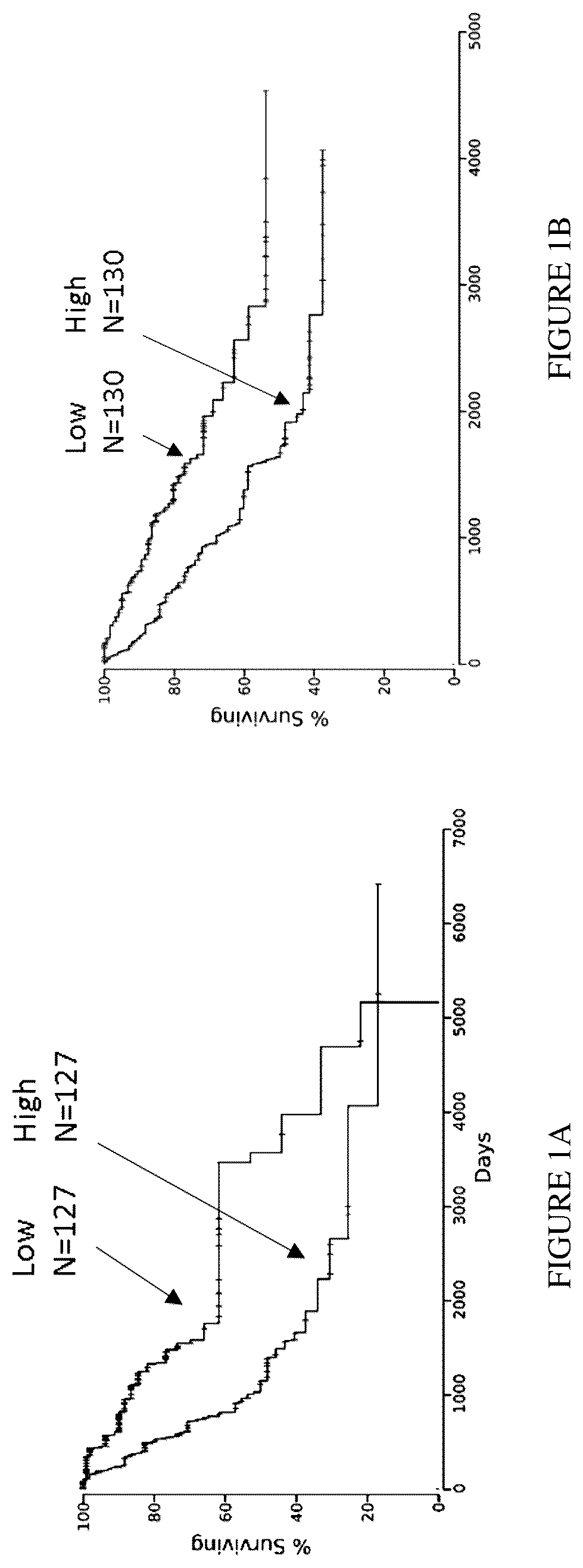 Patent US12612457 Figure 1 – Humanized antibodies against Nectin-2 and drug conjugates thereof