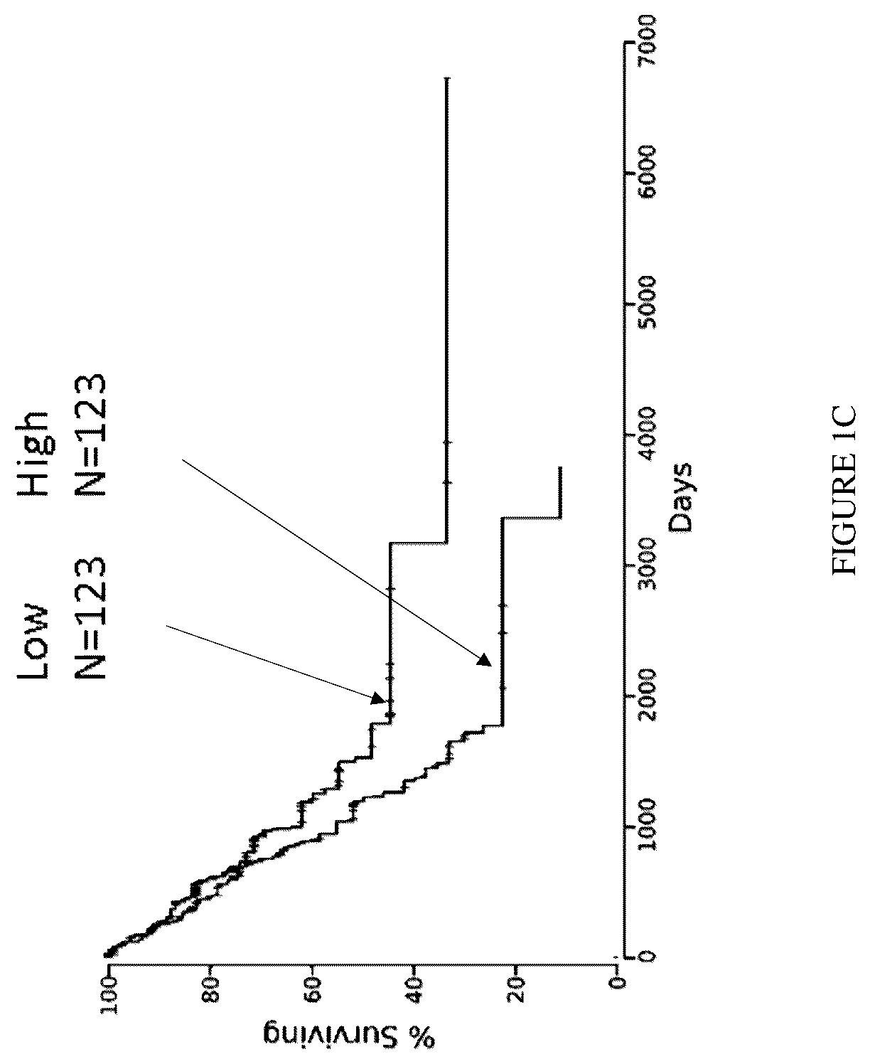 Patent US12612457 Figure 2 – Humanized antibodies against Nectin-2 and drug conjugates thereof