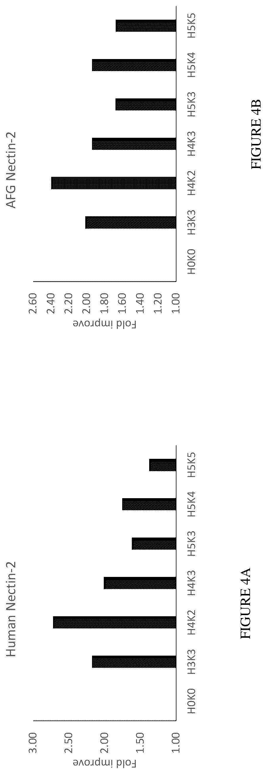 Patent US12612457 Figure 5 – Humanized antibodies against Nectin-2 and drug conjugates thereof
