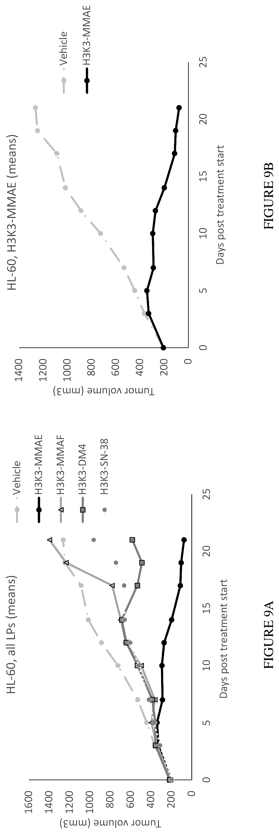 Patent US12612457 Figure 13 – Humanized antibodies against Nectin-2 and drug conjugates thereof