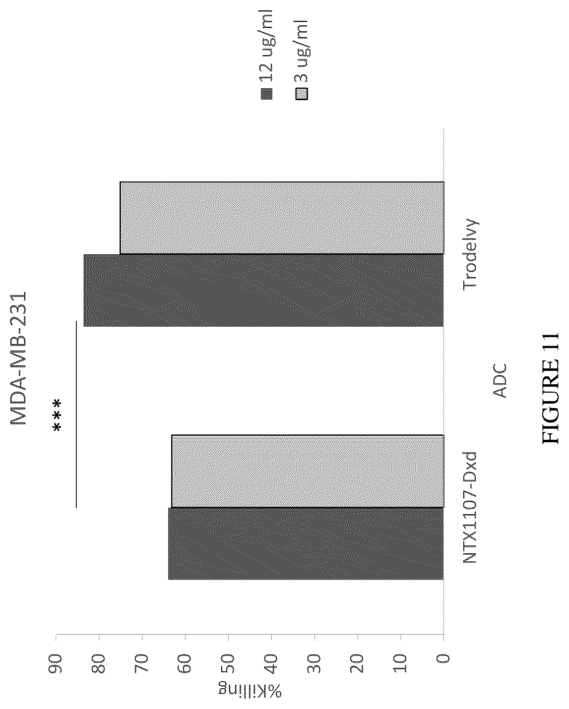 Patent US12612457 Figure 15 – Humanized antibodies against Nectin-2 and drug conjugates thereof