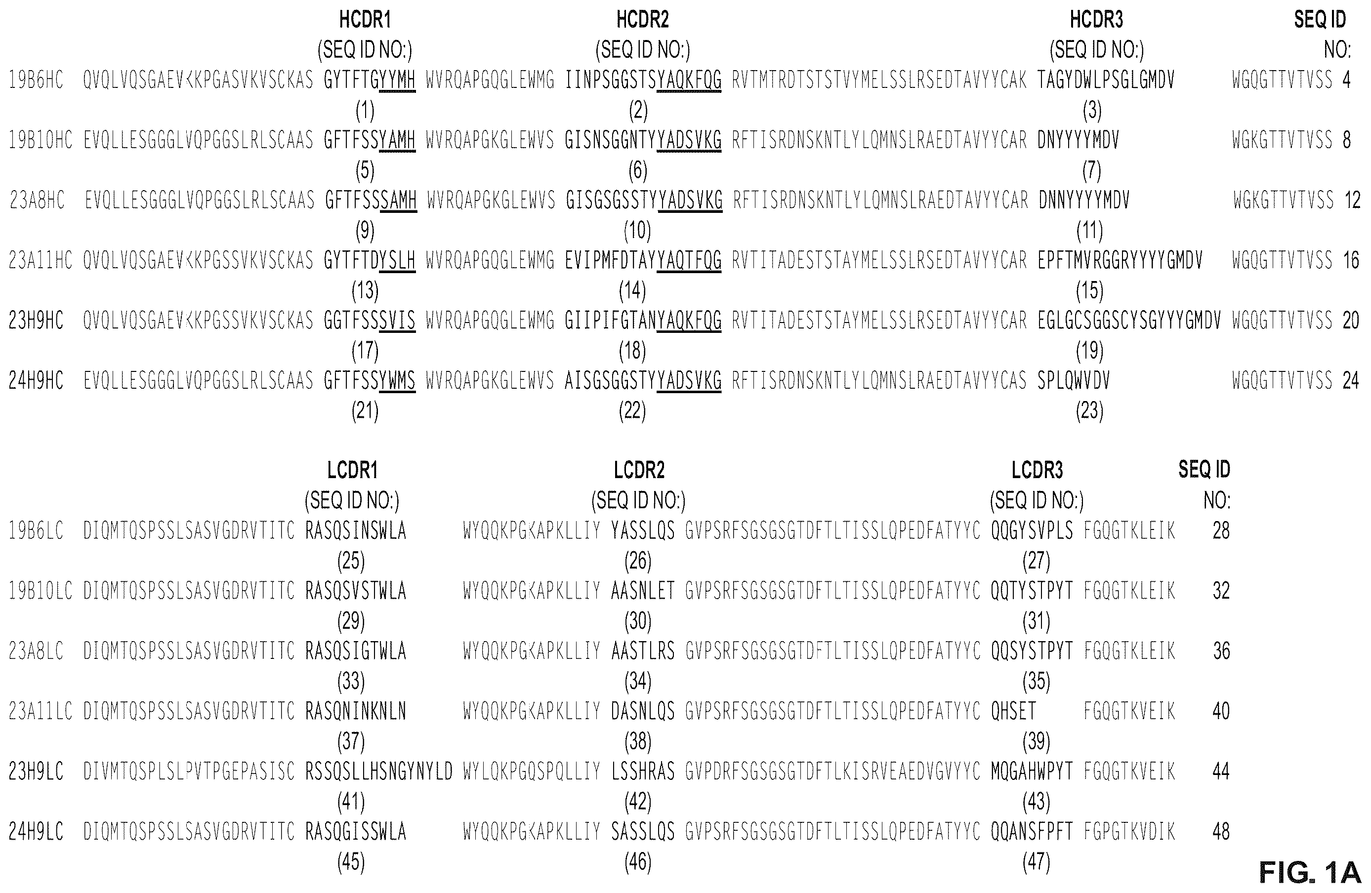 Patent US12612460 Figure 1 – Anti-PD-1 antibodies and fusion proteins