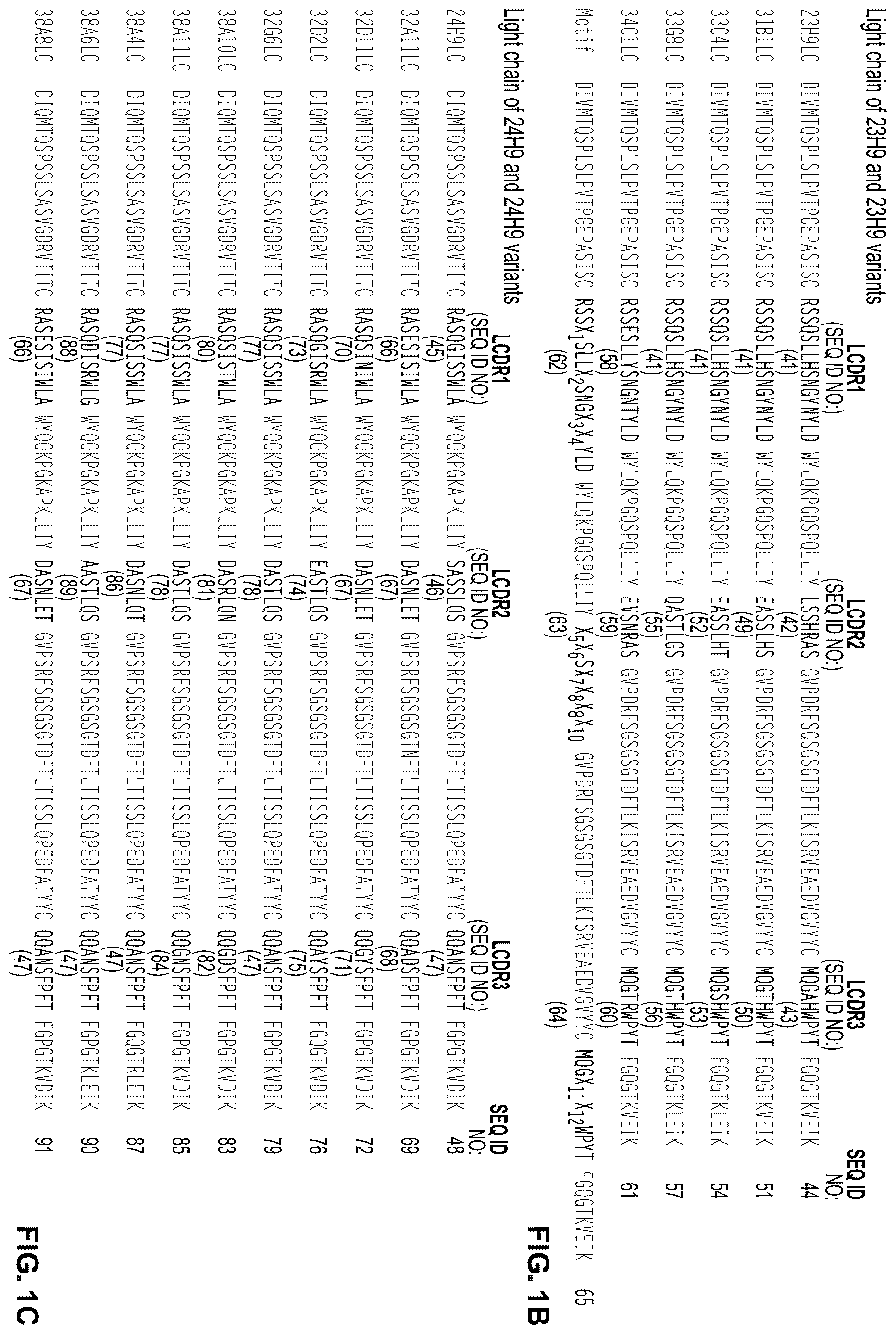 Patent US12612460 Figure 2 – Anti-PD-1 antibodies and fusion proteins