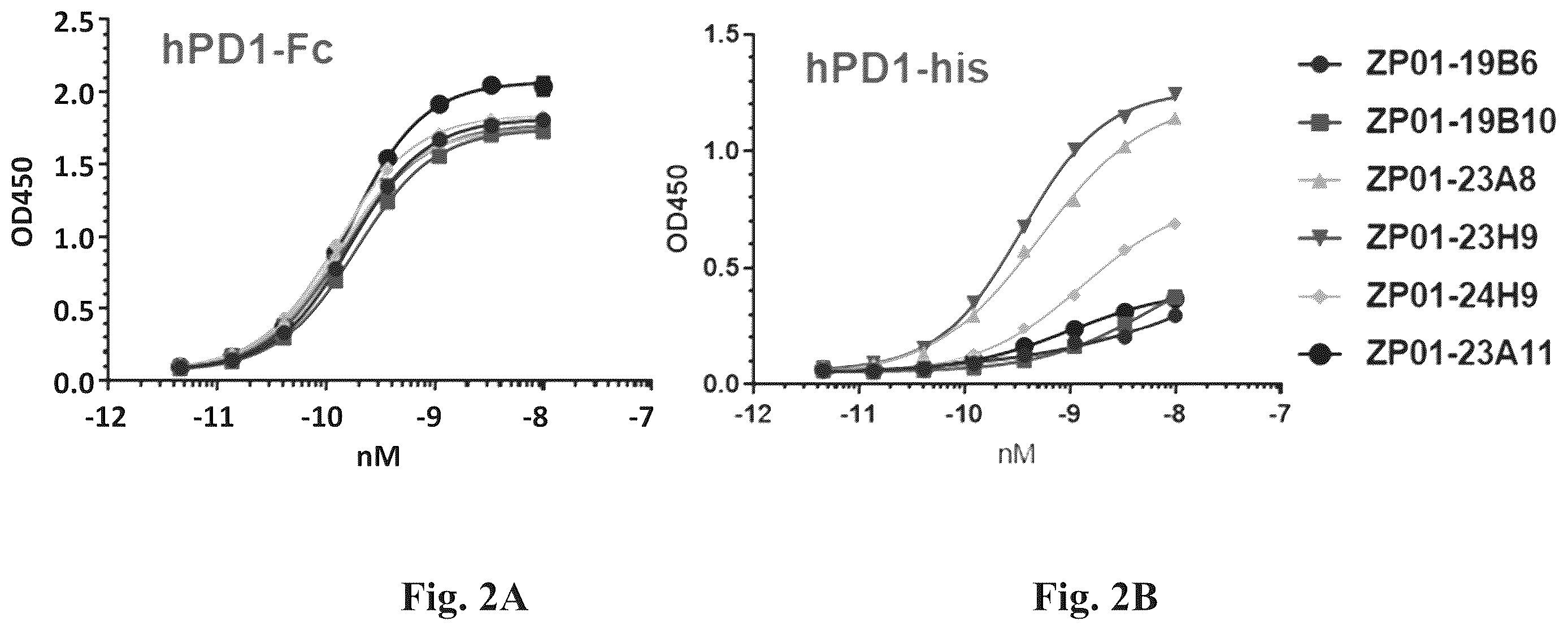 Patent US12612460 Figure 5 – Anti-PD-1 antibodies and fusion proteins