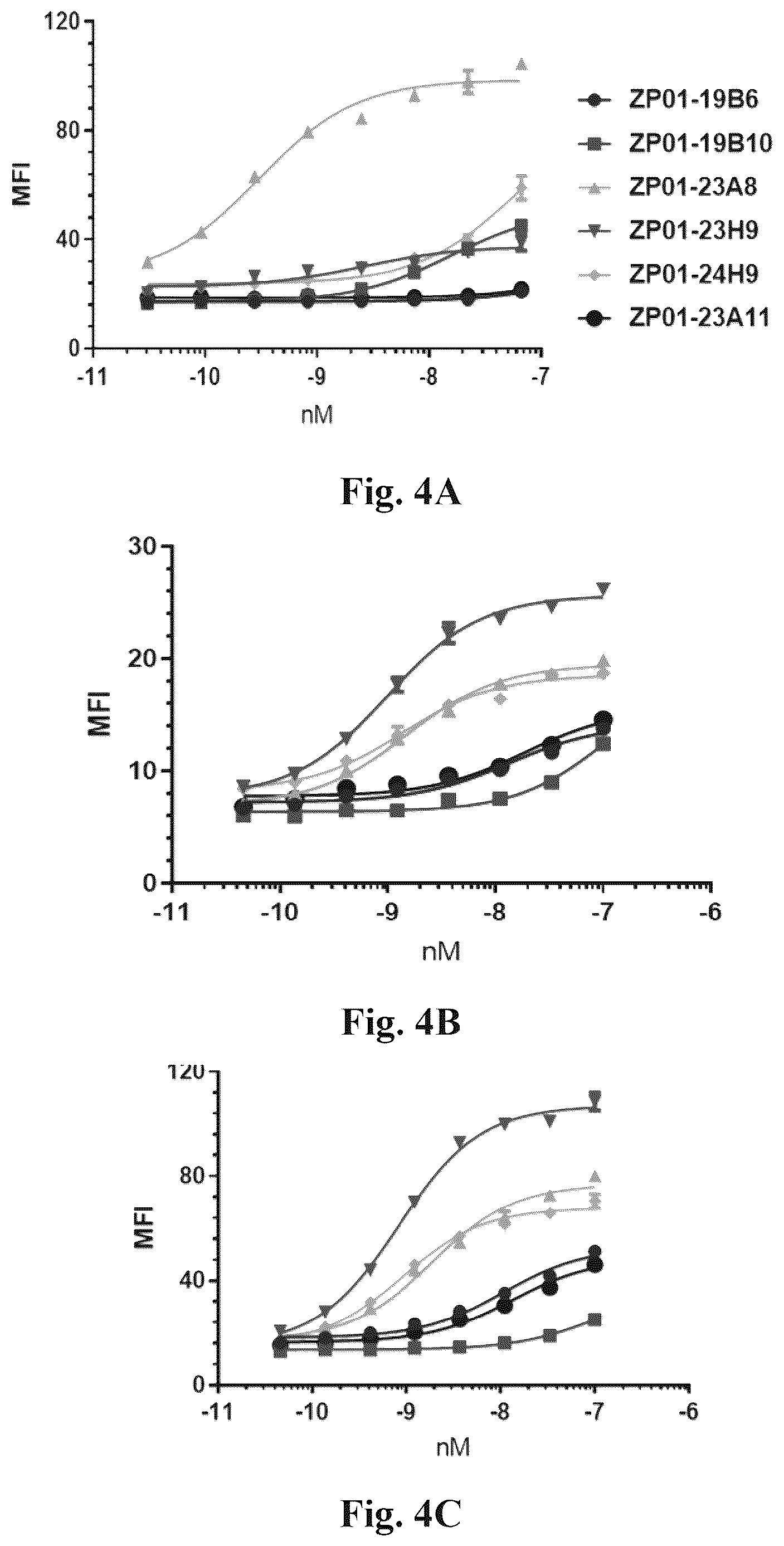 Patent US12612460 Figure 7 – Anti-PD-1 antibodies and fusion proteins