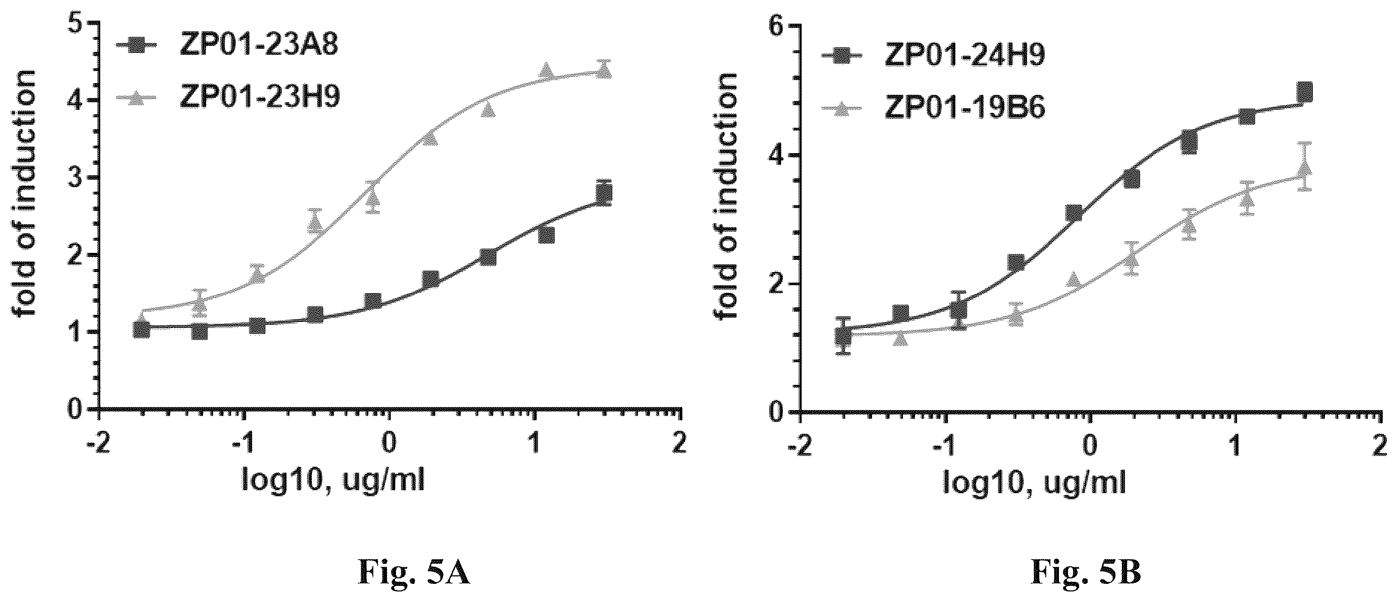 Patent US12612460 Figure 8 – Anti-PD-1 antibodies and fusion proteins