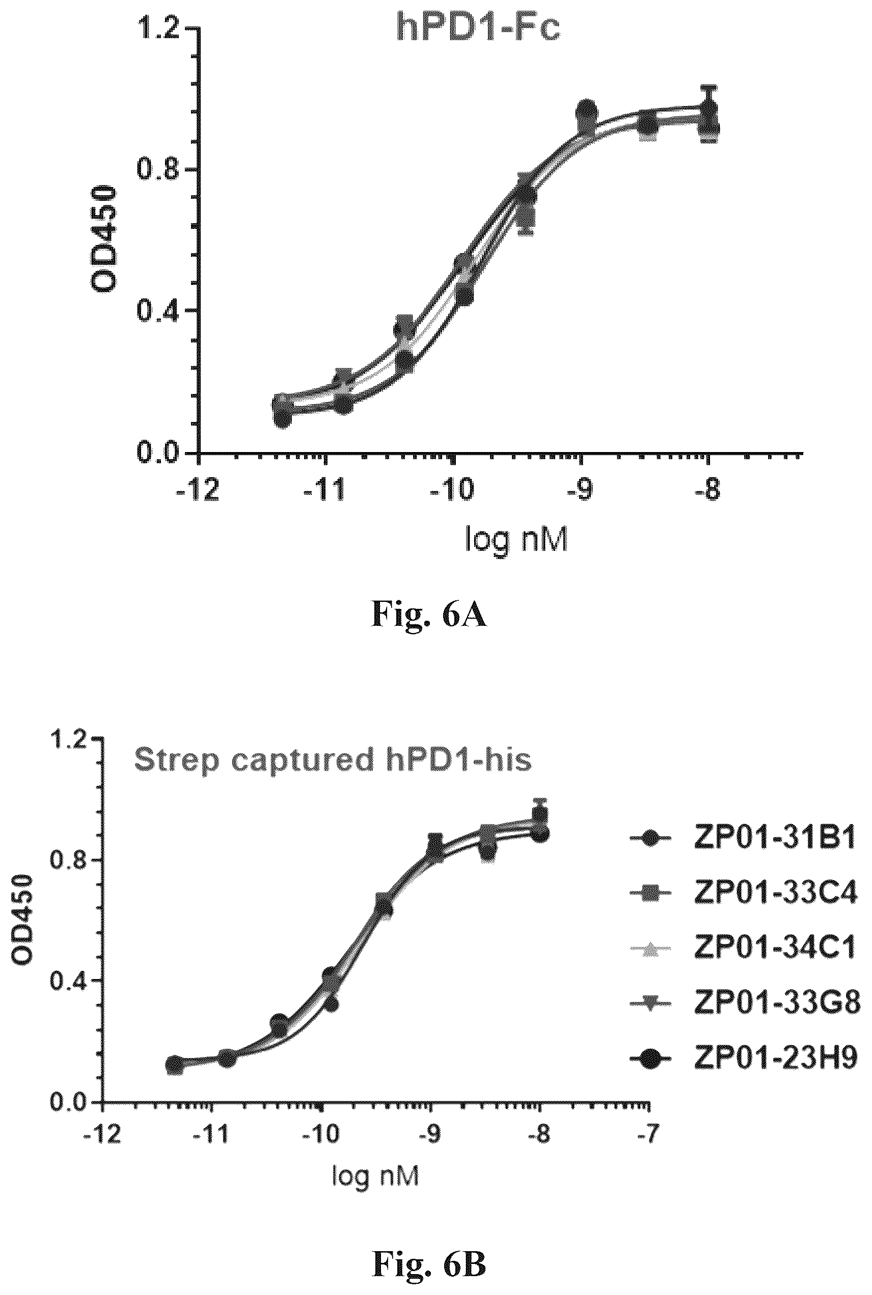 Patent US12612460 Figure 9 – Anti-PD-1 antibodies and fusion proteins