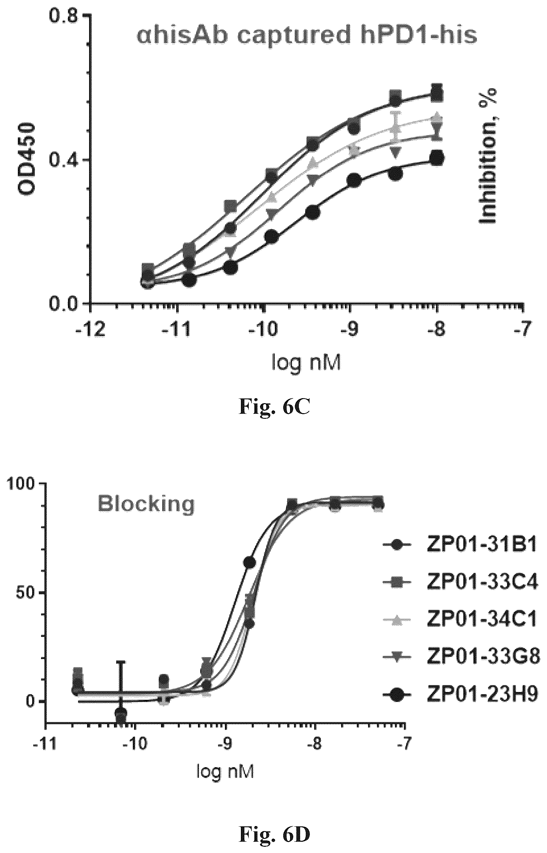 Patent US12612460 Figure 10 – Anti-PD-1 antibodies and fusion proteins