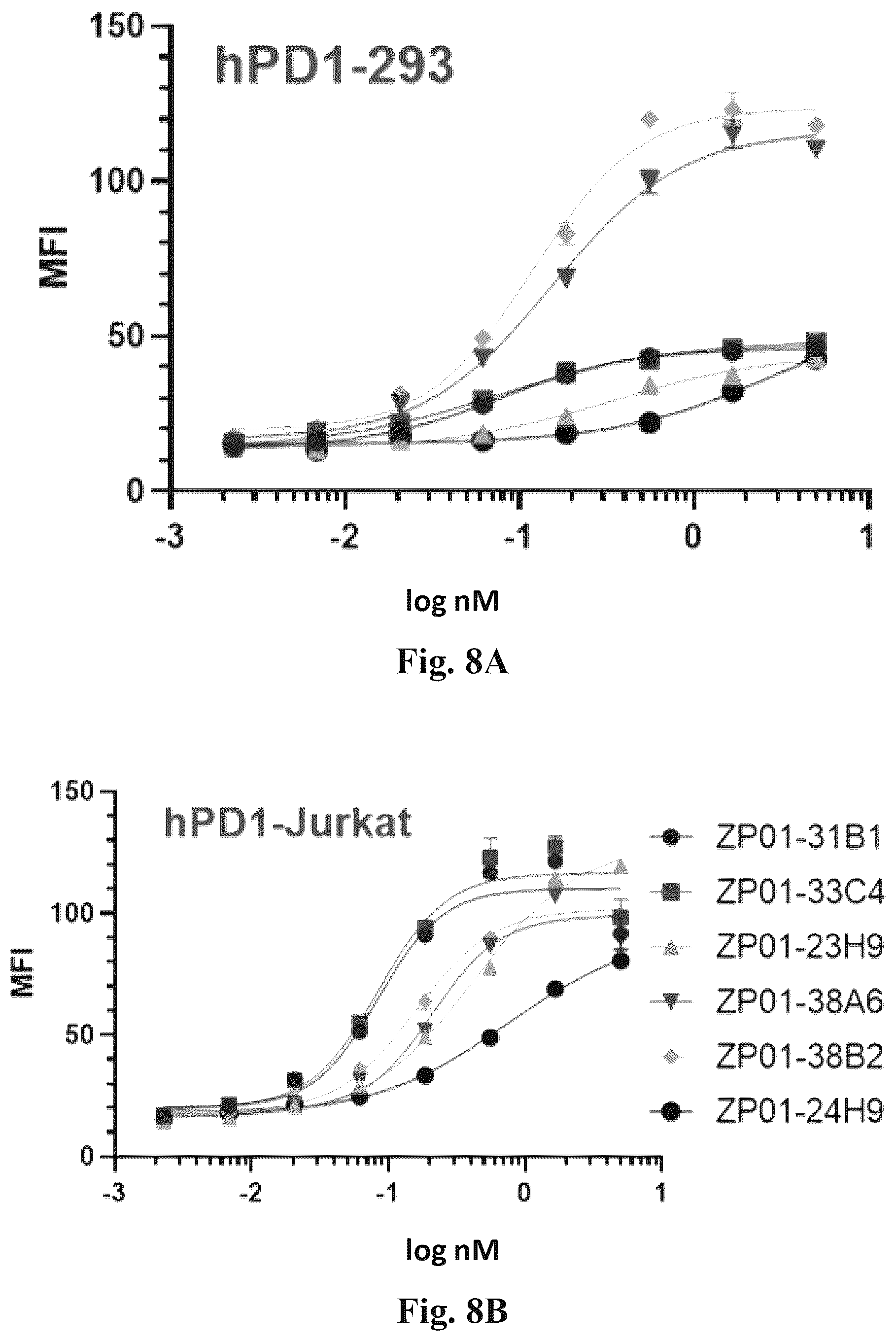 Patent US12612460 Figure 12 – Anti-PD-1 antibodies and fusion proteins