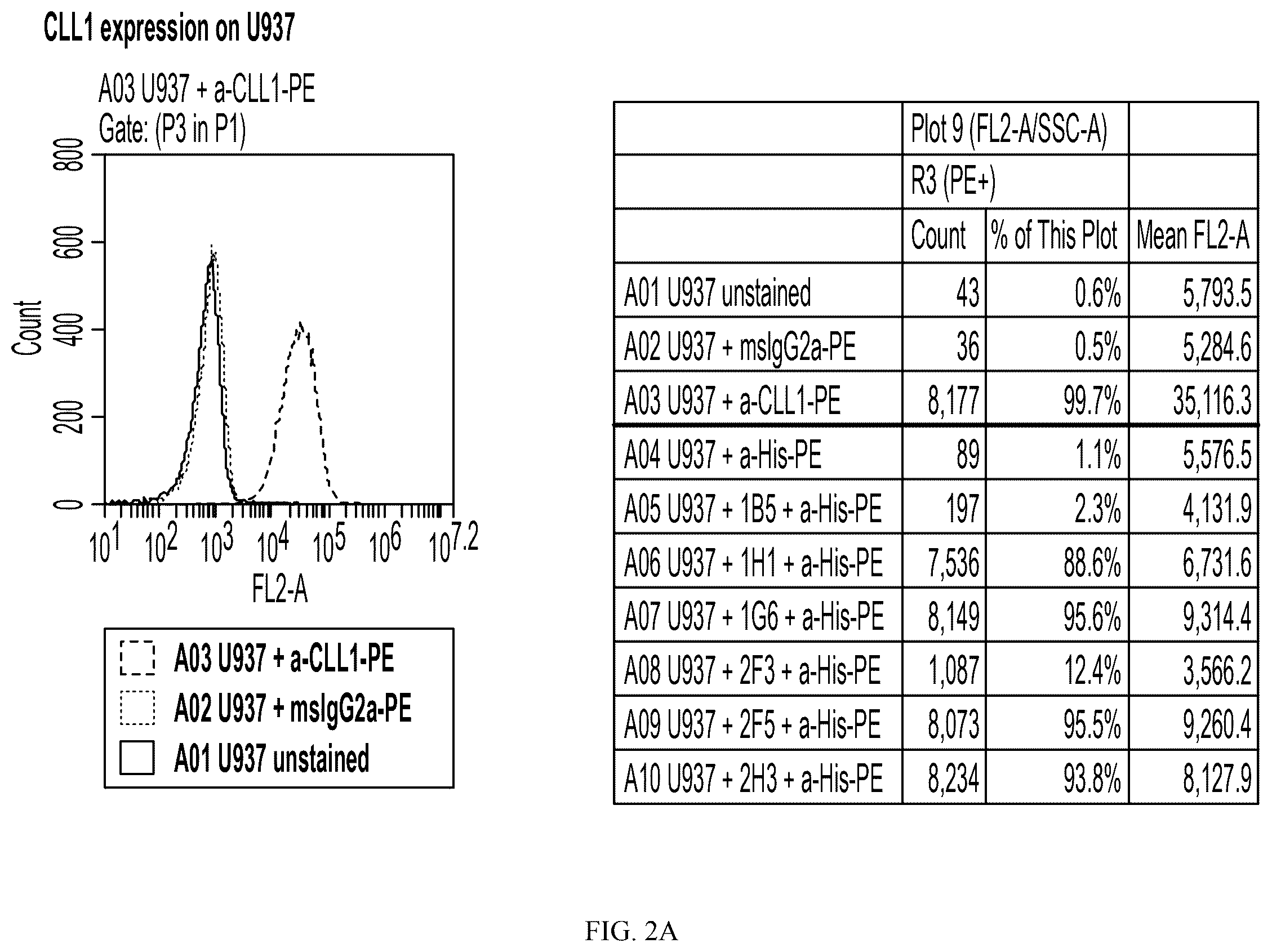 Patent US12612461 Figure 2 – Single domain antibodies against CLL-1