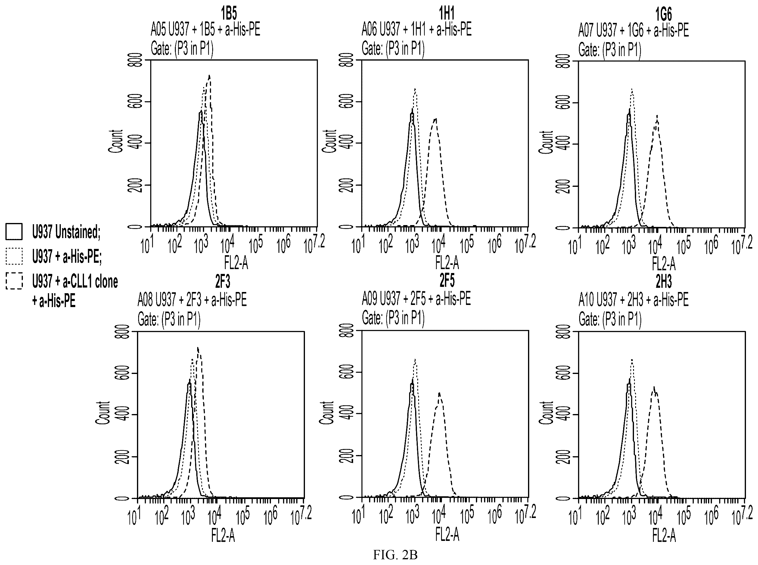 Patent US12612461 Figure 3 – Single domain antibodies against CLL-1