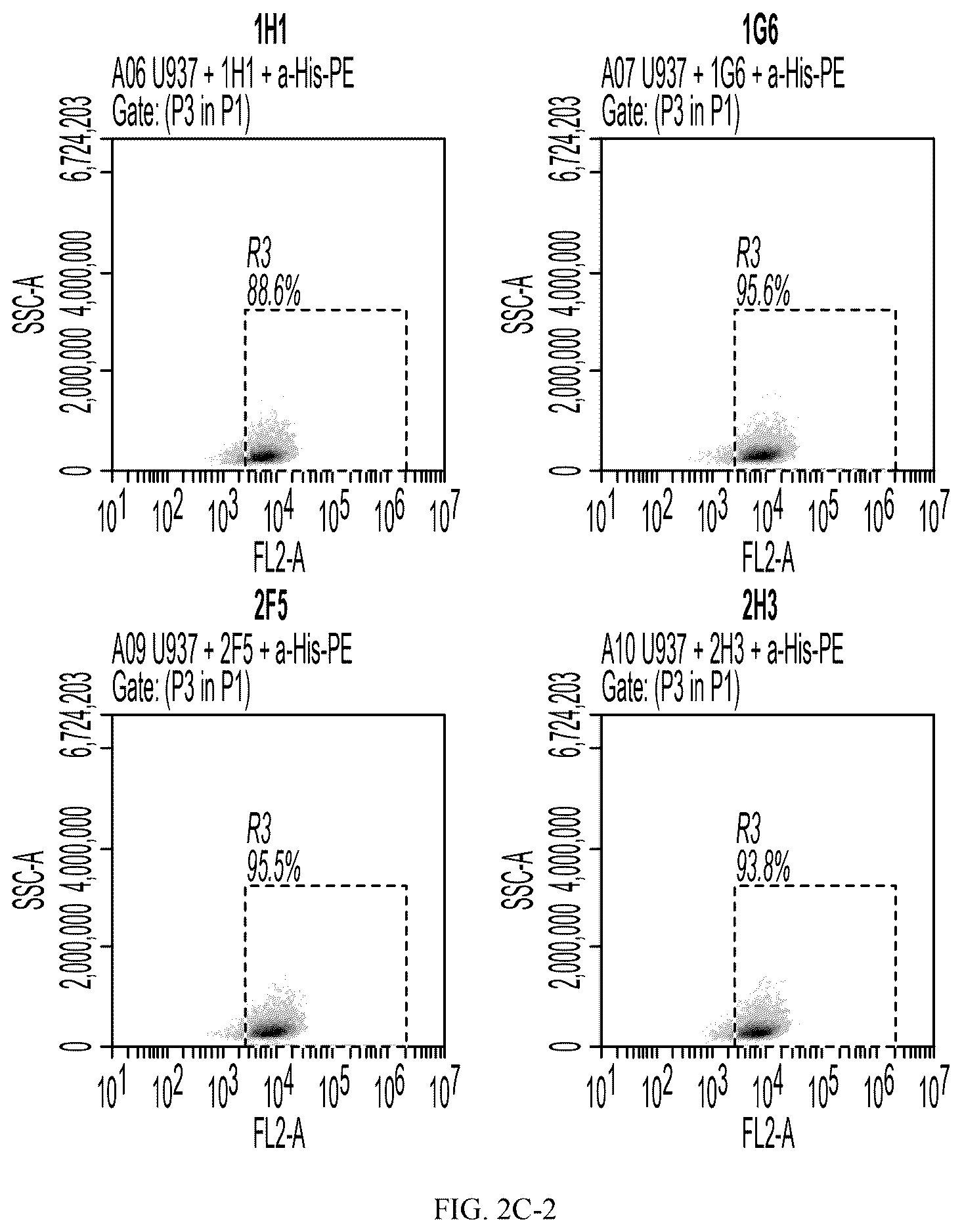 Patent US12612461 Figure 5 – Single domain antibodies against CLL-1