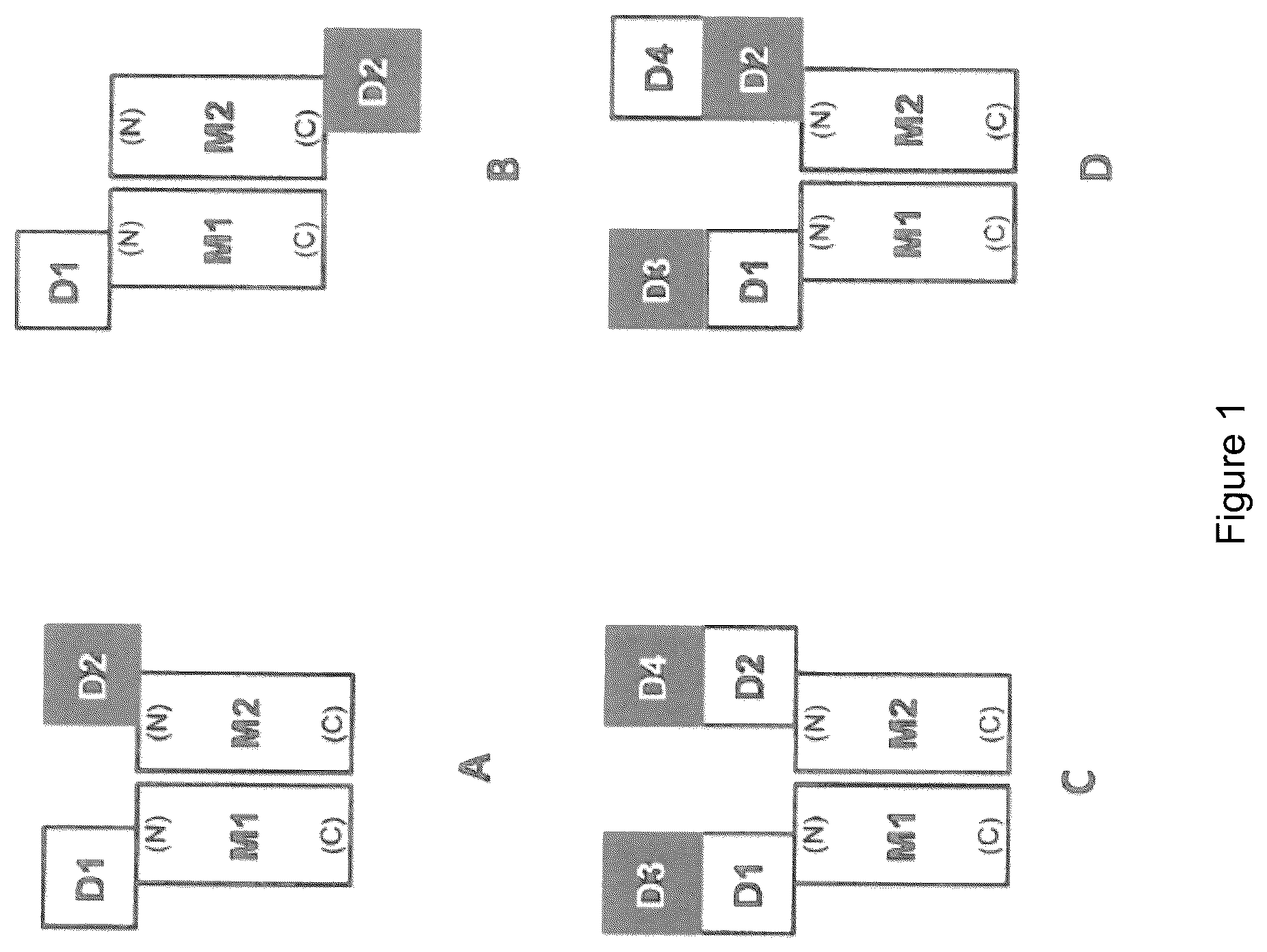 Patent US12612462 Figure 1 – Treatment and inhibition of inflammatory lung diseases in patients having risk alleles in the genes encoding IL33 and IL1RL1
