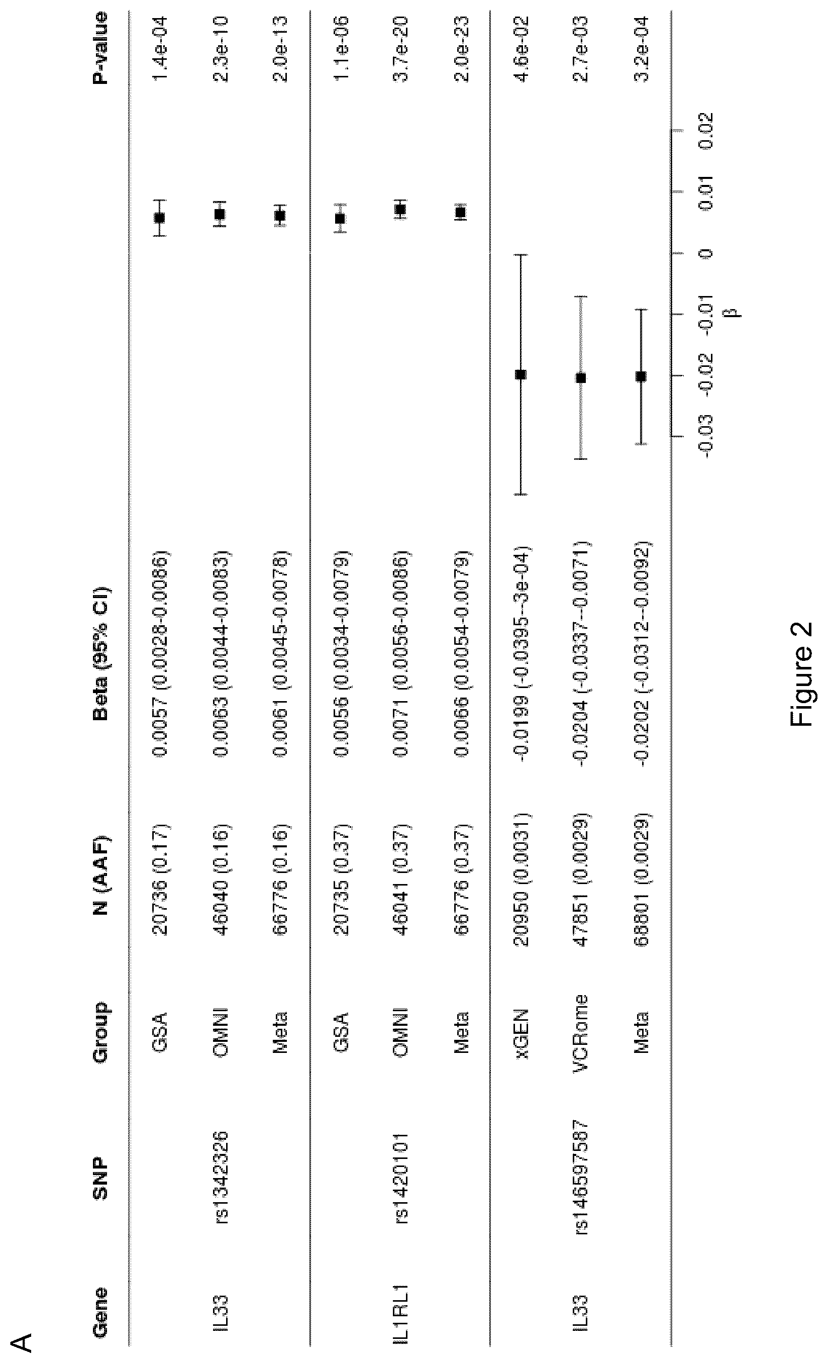 Patent US12612462 Figure 2 – Treatment and inhibition of inflammatory lung diseases in patients having risk alleles in the genes encoding IL33 and IL1RL1