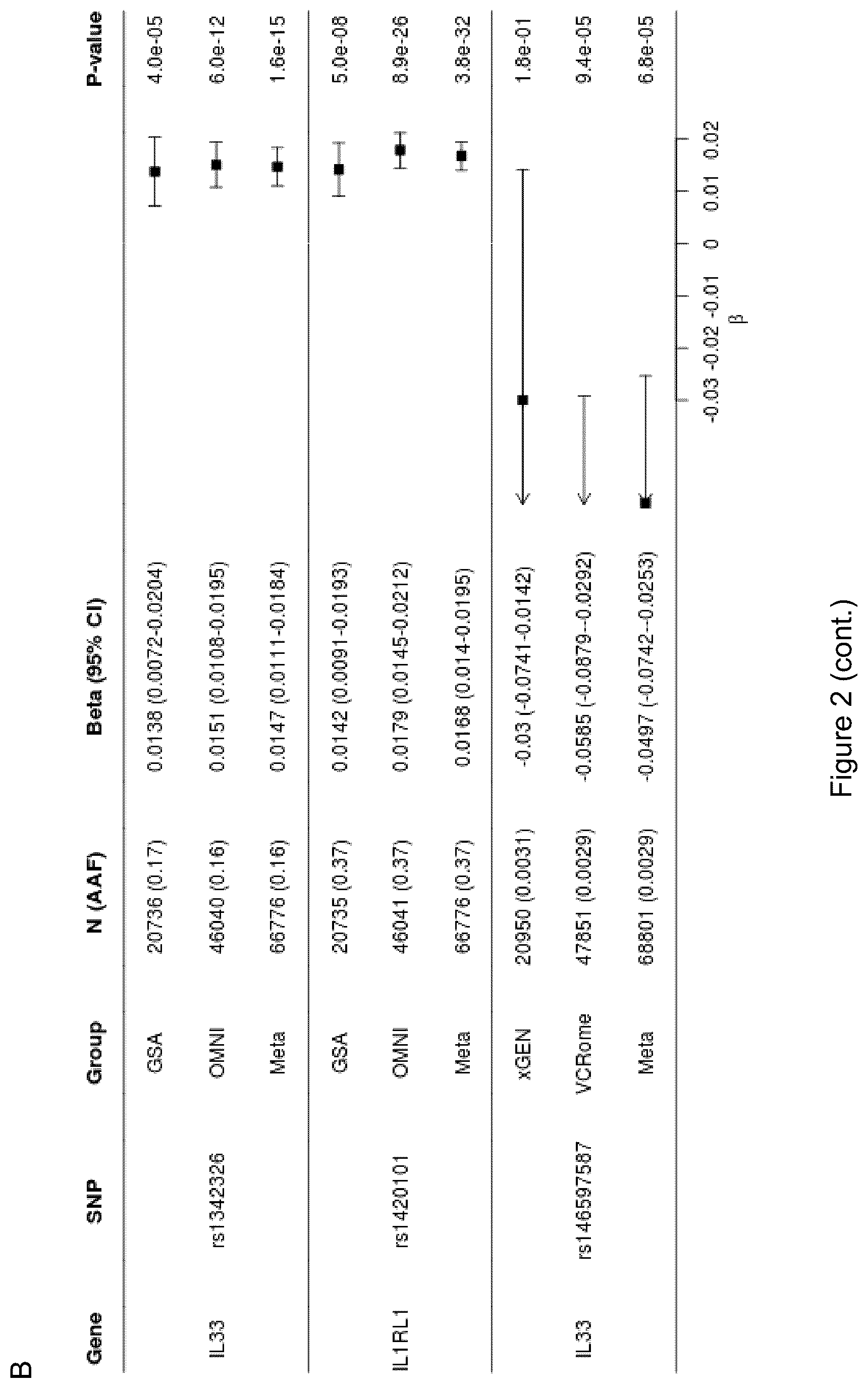 Patent US12612462 Figure 3 – Treatment and inhibition of inflammatory lung diseases in patients having risk alleles in the genes encoding IL33 and IL1RL1