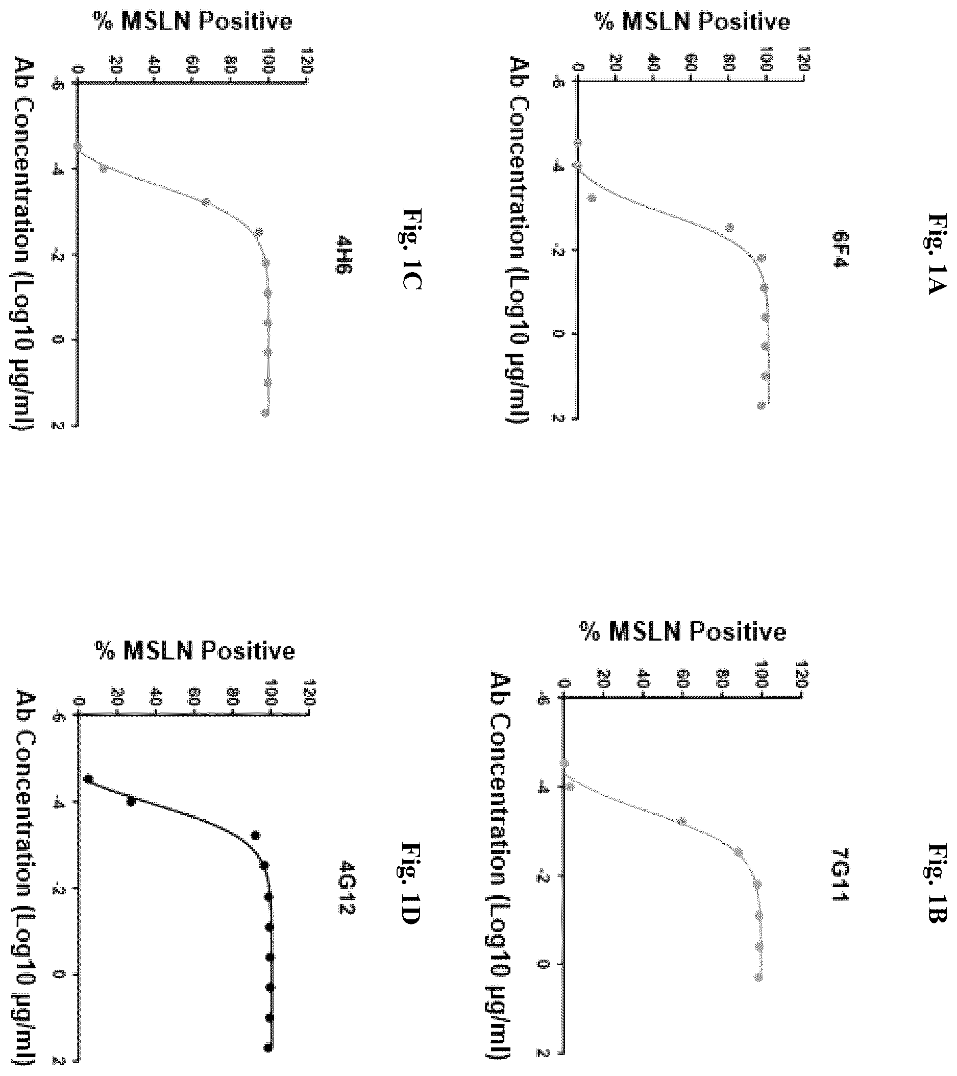 Patent US12612463 Figure 1 – Mesothelin-targeted CD40 agonistic multispecific antibody constructs for the treatment of solid tumors