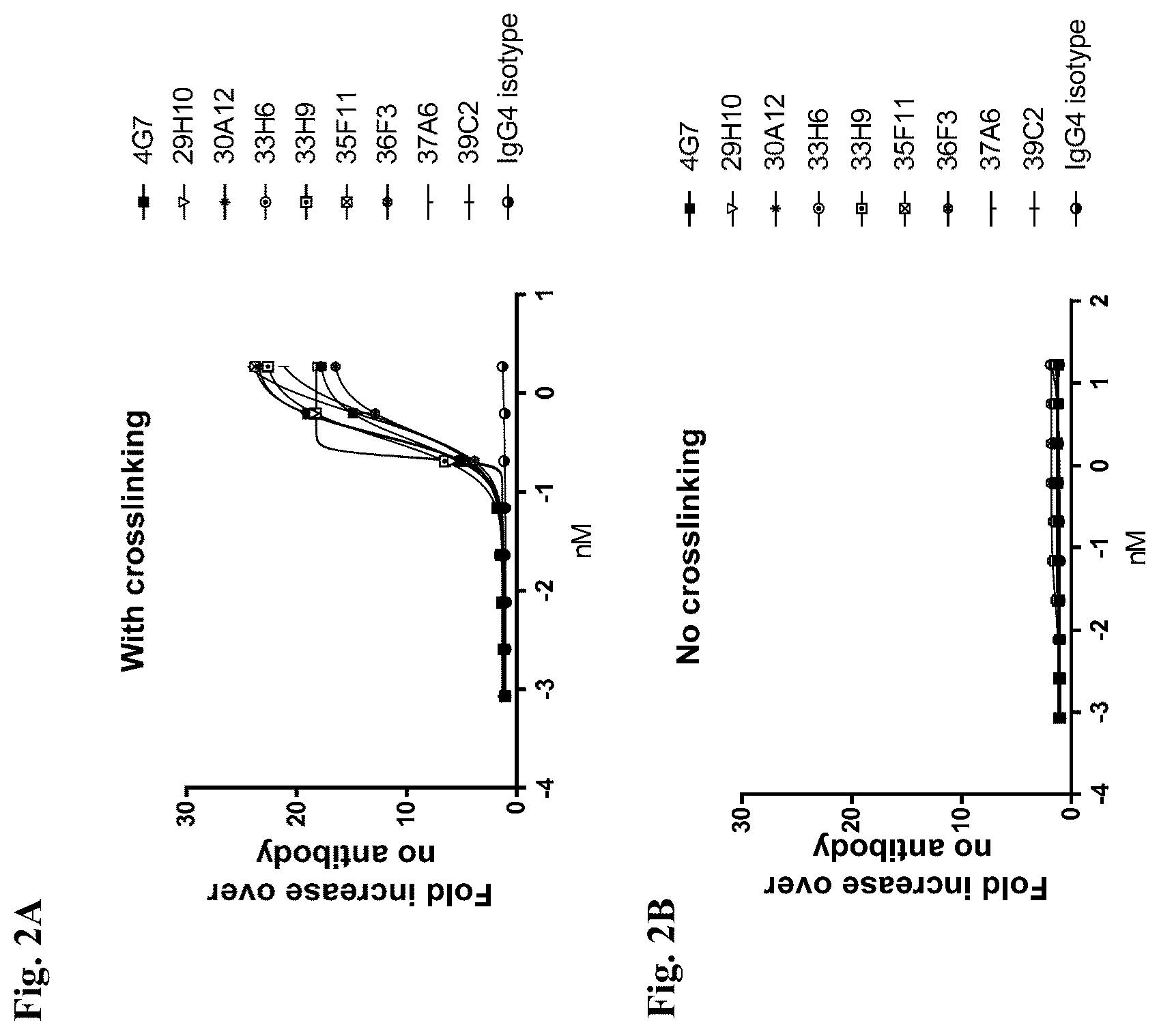 Patent US12612463 Figure 2 – Mesothelin-targeted CD40 agonistic multispecific antibody constructs for the treatment of solid tumors