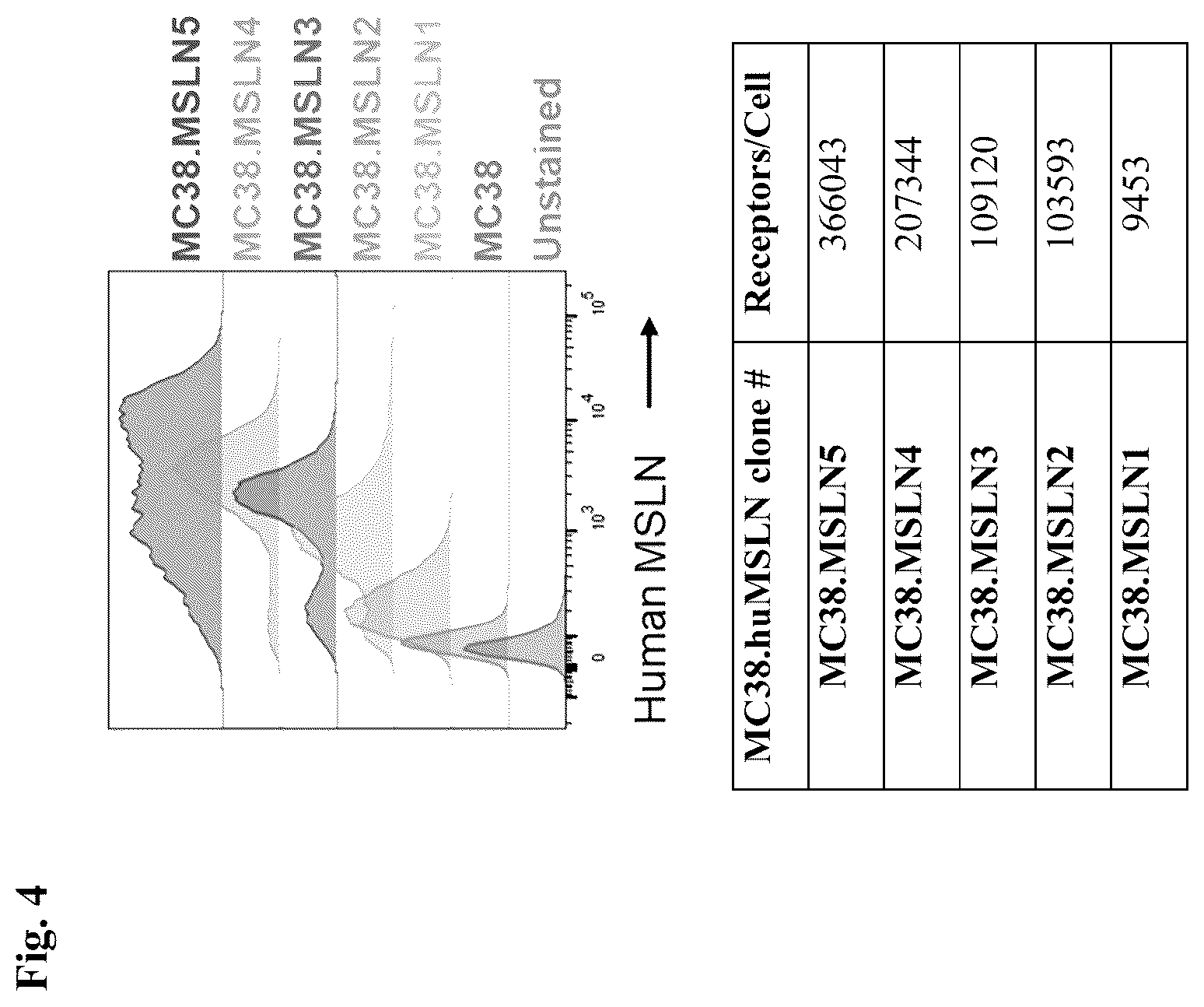 Patent US12612463 Figure 4 – Mesothelin-targeted CD40 agonistic multispecific antibody constructs for the treatment of solid tumors