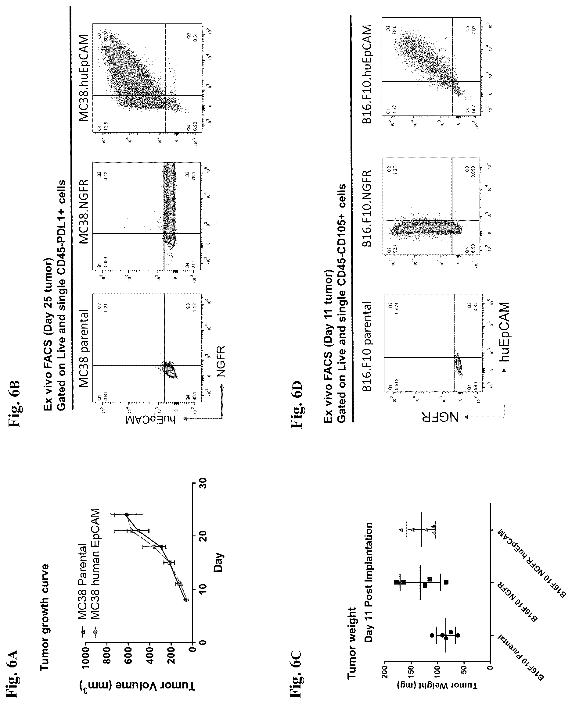 Patent US12612463 Figure 6 – Mesothelin-targeted CD40 agonistic multispecific antibody constructs for the treatment of solid tumors