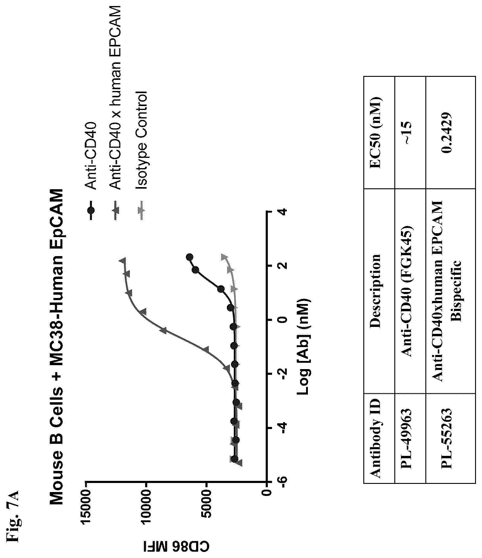 Patent US12612463 Figure 7 – Mesothelin-targeted CD40 agonistic multispecific antibody constructs for the treatment of solid tumors