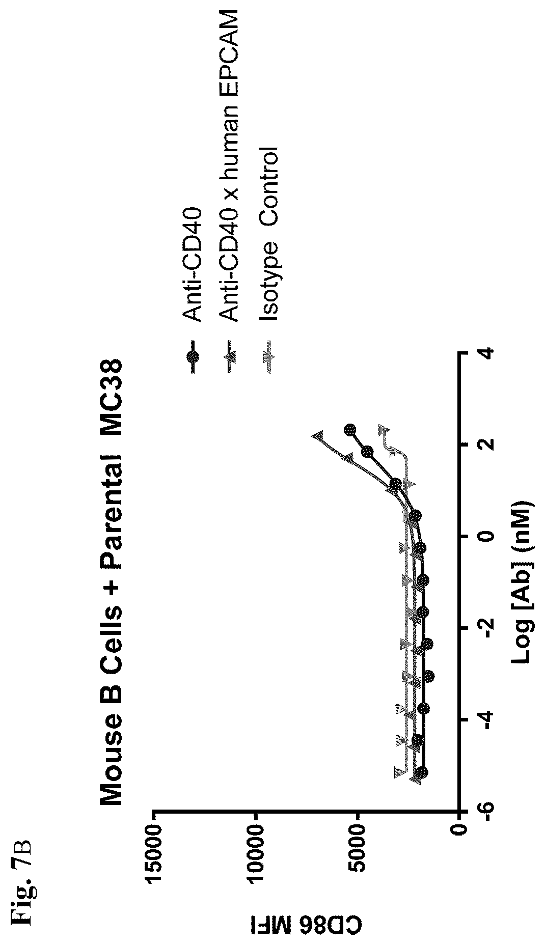 Patent US12612463 Figure 8 – Mesothelin-targeted CD40 agonistic multispecific antibody constructs for the treatment of solid tumors
