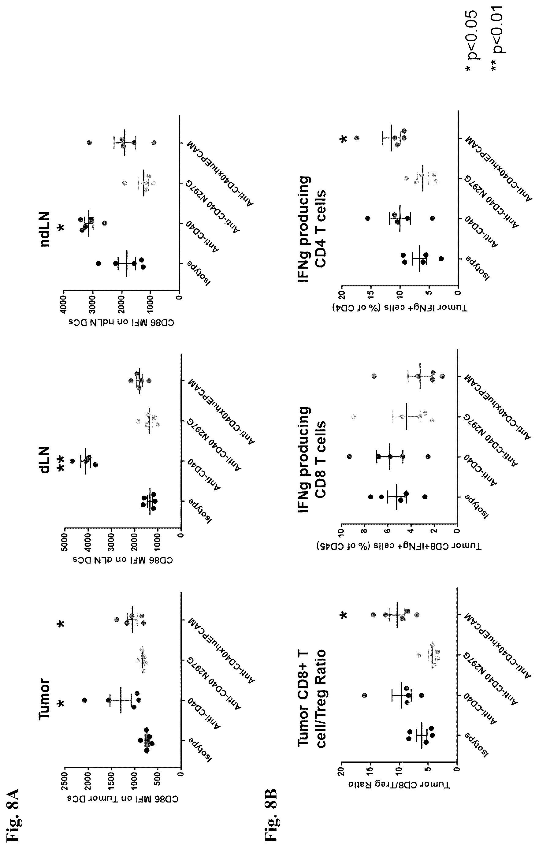 Patent US12612463 Figure 9 – Mesothelin-targeted CD40 agonistic multispecific antibody constructs for the treatment of solid tumors