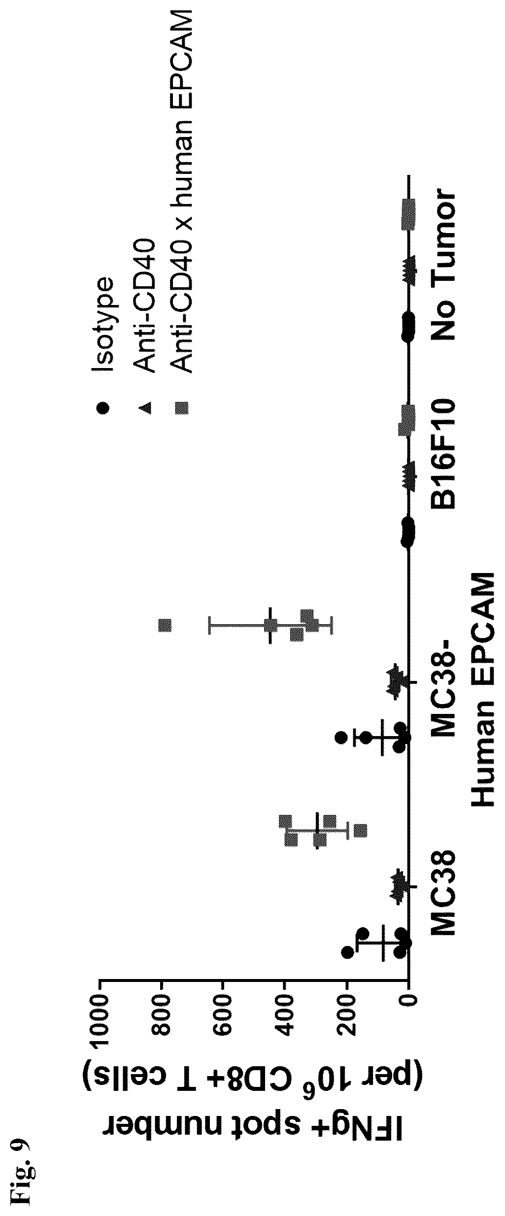 Patent US12612463 Figure 10 – Mesothelin-targeted CD40 agonistic multispecific antibody constructs for the treatment of solid tumors