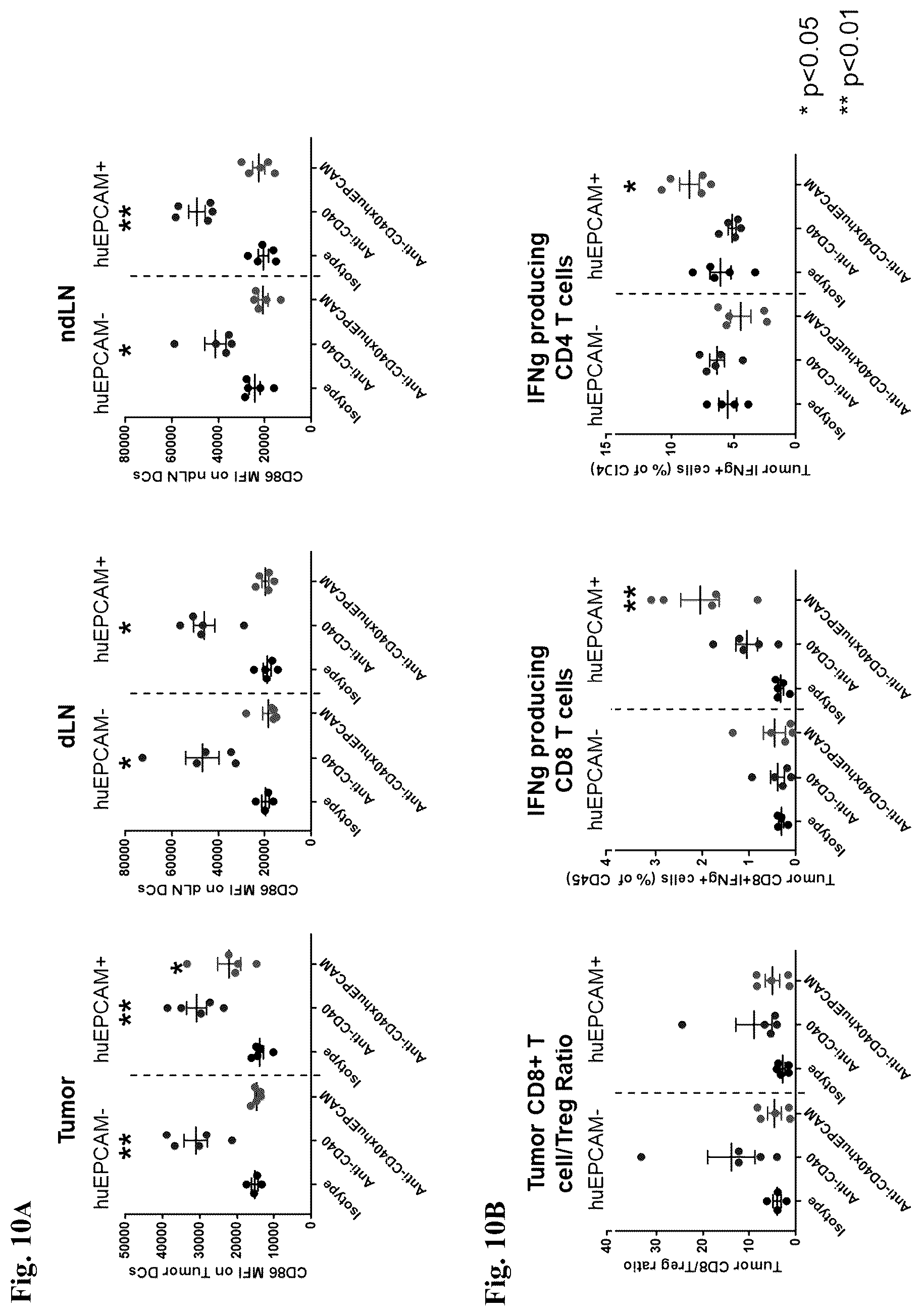 Patent US12612463 Figure 11 – Mesothelin-targeted CD40 agonistic multispecific antibody constructs for the treatment of solid tumors