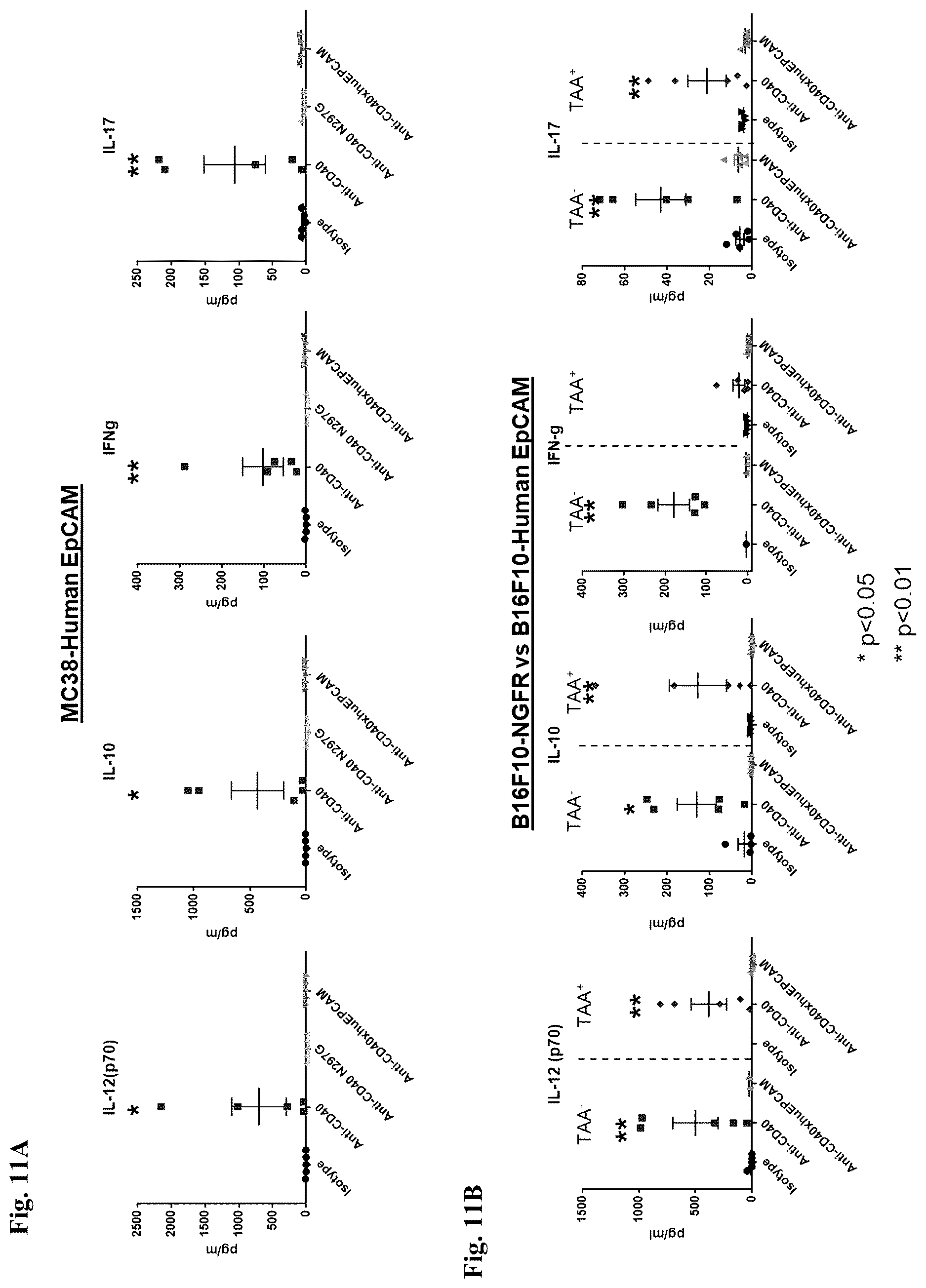 Patent US12612463 Figure 12 – Mesothelin-targeted CD40 agonistic multispecific antibody constructs for the treatment of solid tumors