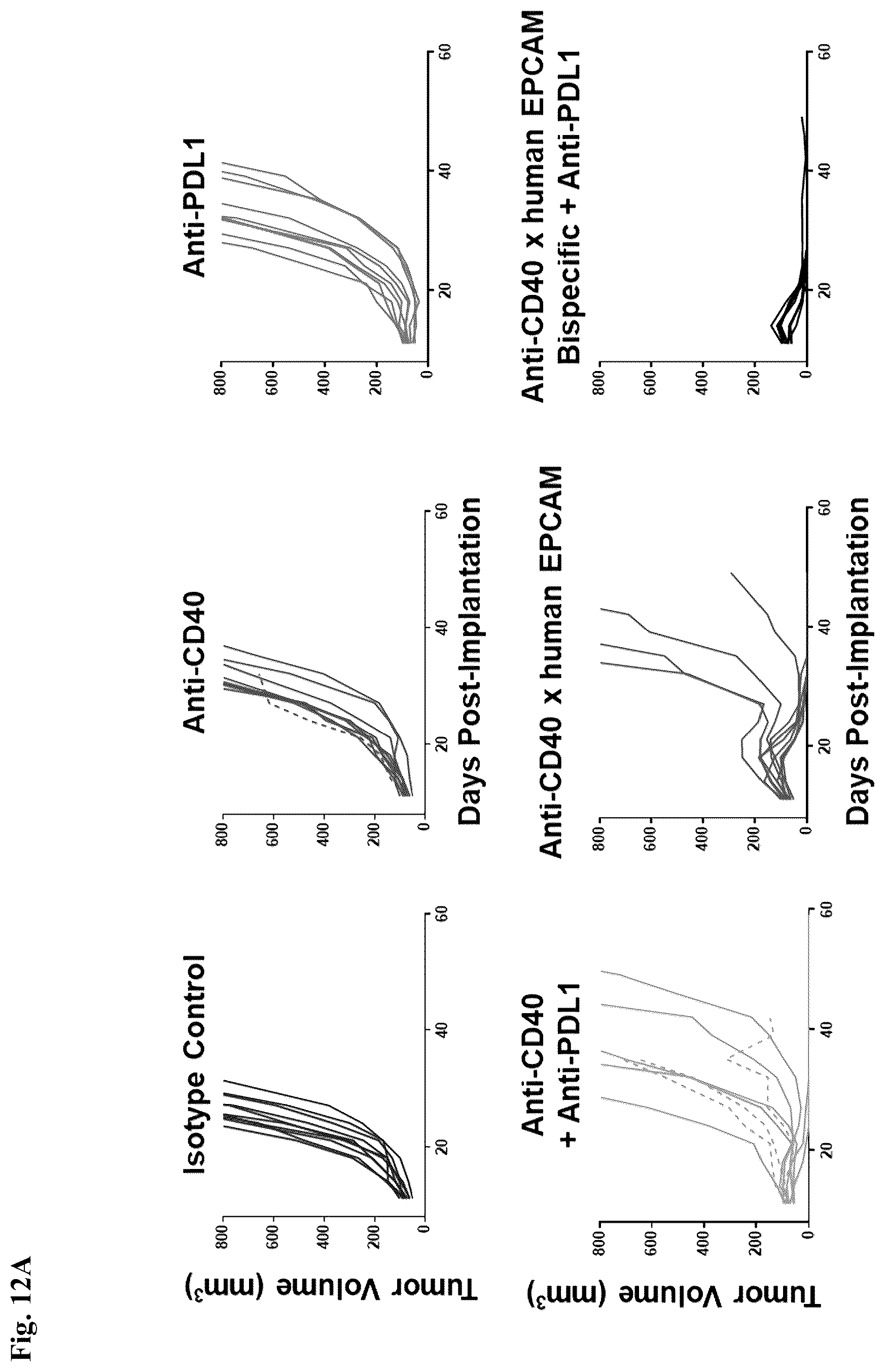 Patent US12612463 Figure 14 – Mesothelin-targeted CD40 agonistic multispecific antibody constructs for the treatment of solid tumors