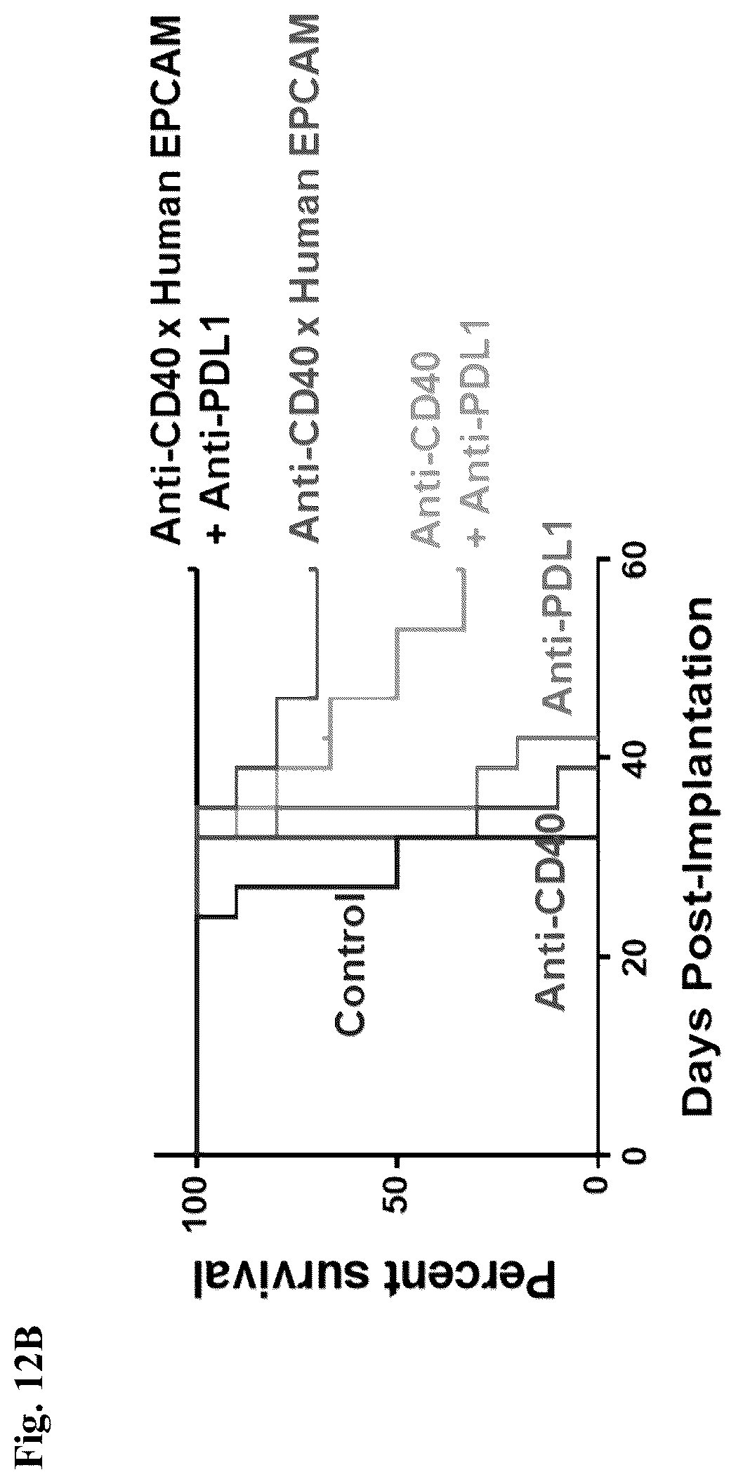 Patent US12612463 Figure 15 – Mesothelin-targeted CD40 agonistic multispecific antibody constructs for the treatment of solid tumors