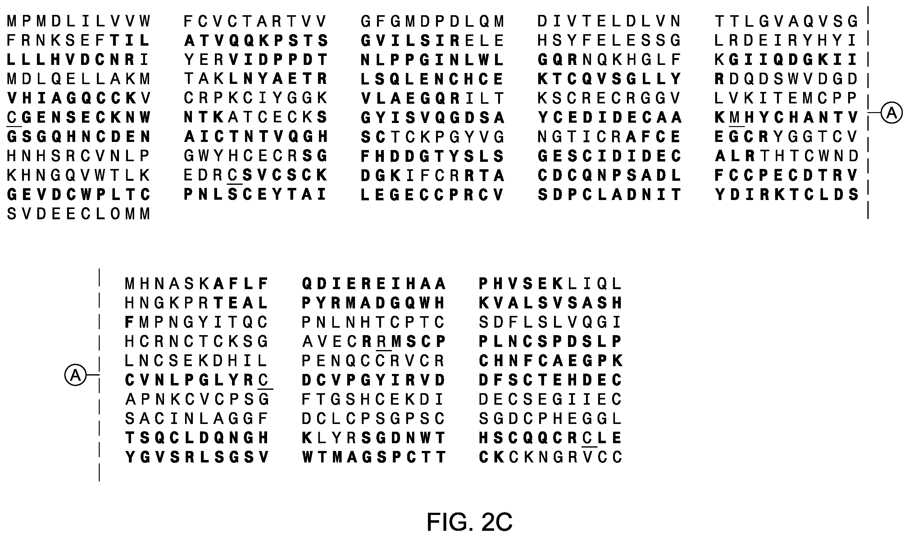 Patent US12612464 Figure 4 – Autoantibody specifically binding to NELL-1 and elevated NELL-1 polypeptide levels for identifying and treating membranous nephropathy
