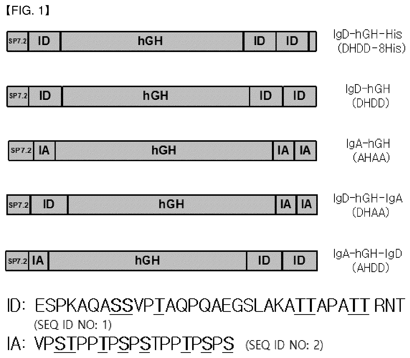 Patent US12612469 — Fusion polypeptide comprising polypeptide region that can be O-glycosylated — Figure 1