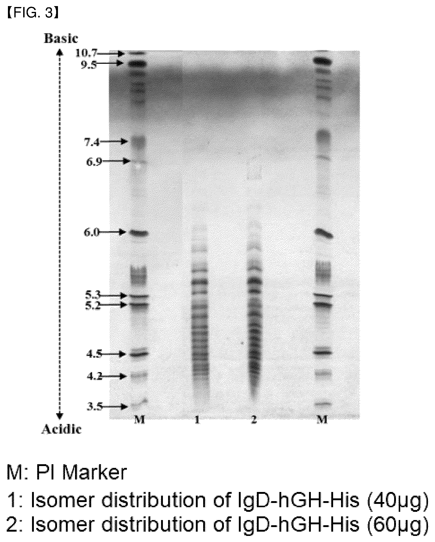 Patent US12612469 Figure 3 – Fusion polypeptide comprising polypeptide region that can be O-glycosylated