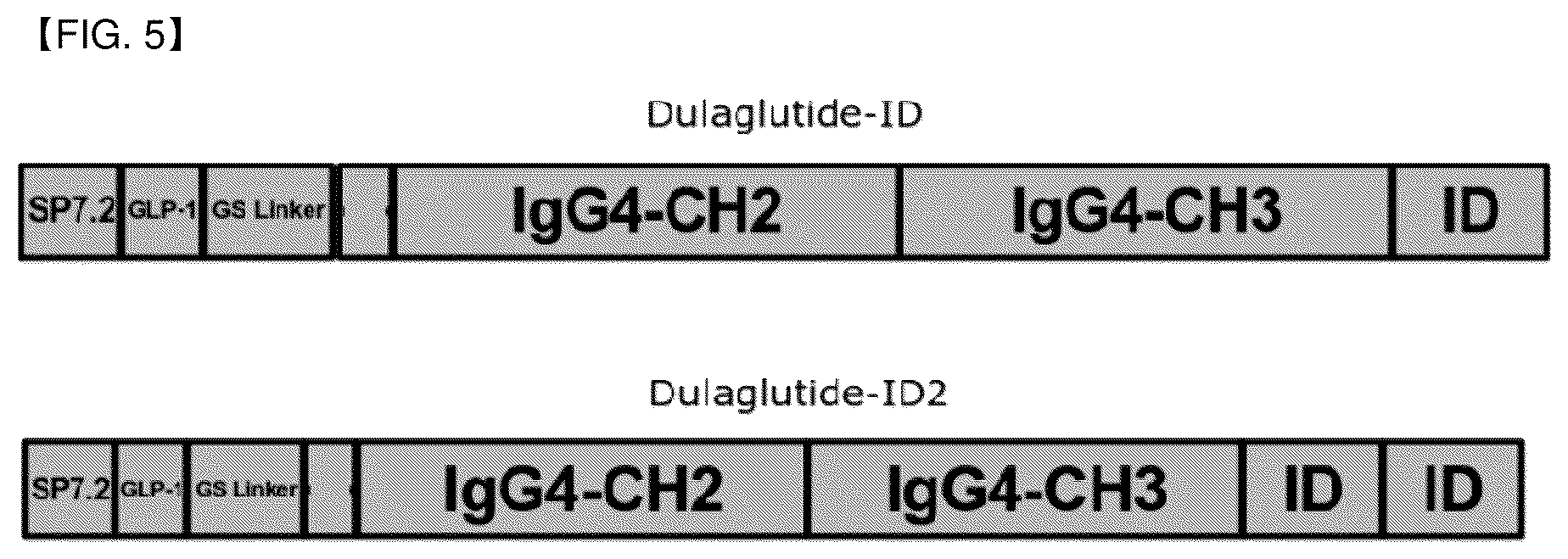 Patent US12612469 Figure 5 – Fusion polypeptide comprising polypeptide region that can be O-glycosylated
