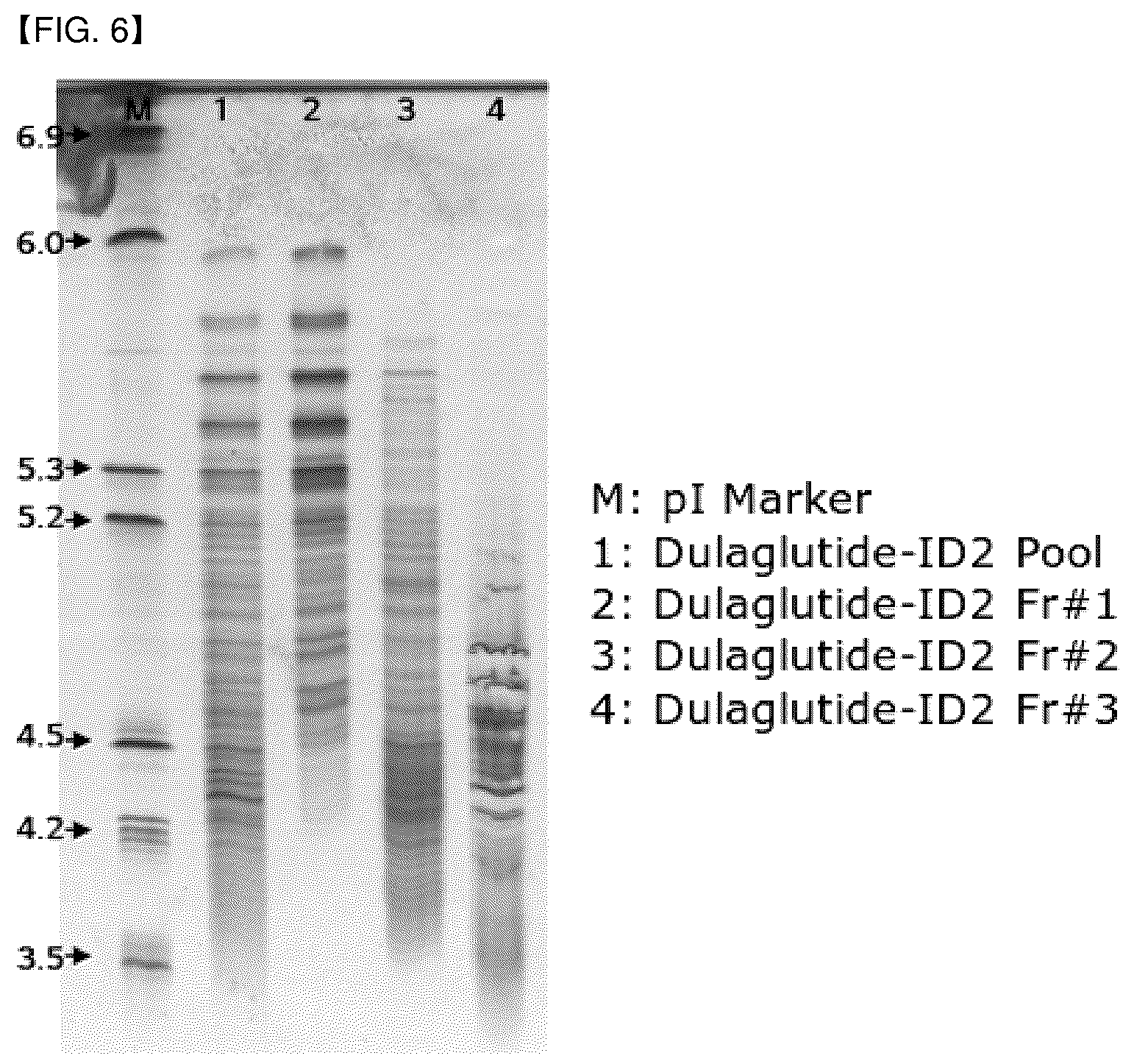 Patent US12612469 Figure 6 – Fusion polypeptide comprising polypeptide region that can be O-glycosylated