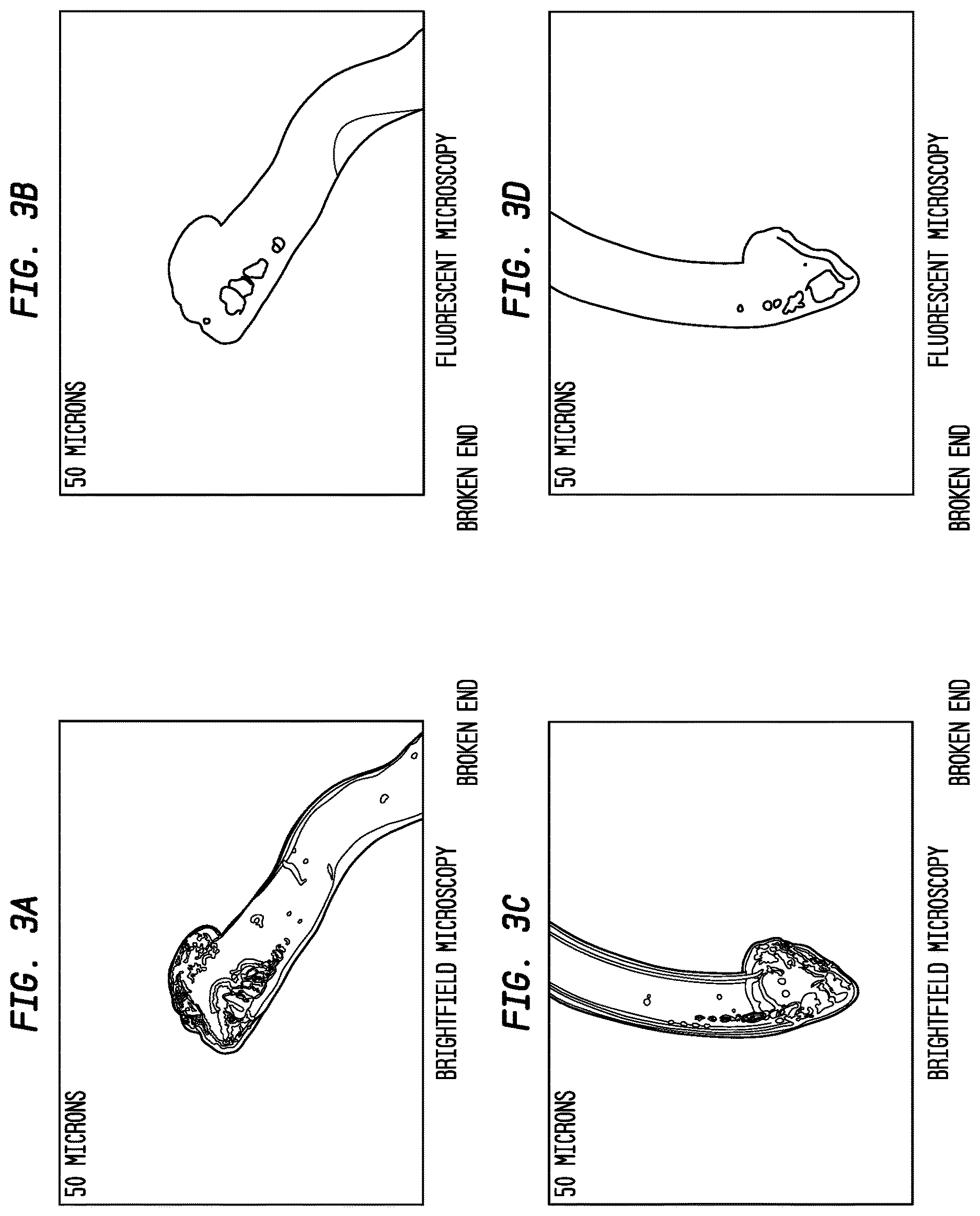 Patent US12612491 Figure 3 – High molecular weight polyamides and CoPolyamides with uniform RV and low gel content