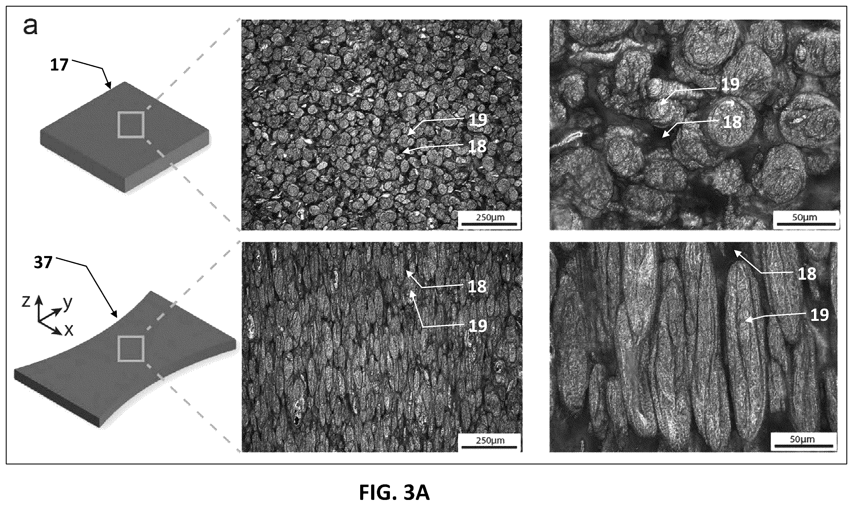 Patent US12612507 Figure 6 – Programmable liquid metal microstructures for multifunctional soft thermal composites and methods for making same