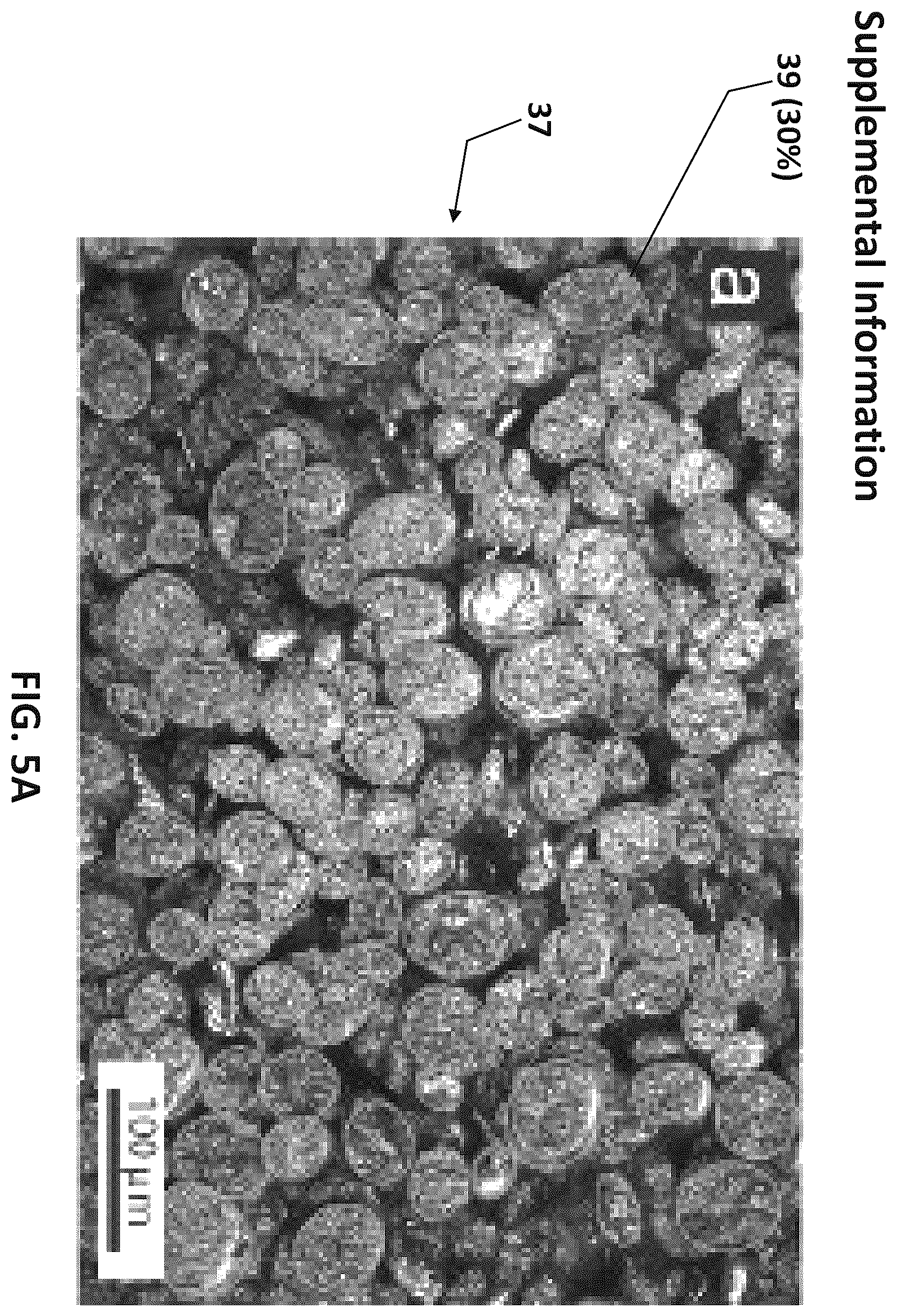Patent US12612507 Figure 20 – Programmable liquid metal microstructures for multifunctional soft thermal composites and methods for making same