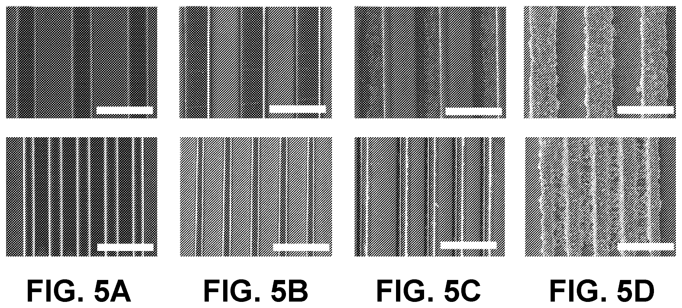 Patent US12612522 Figure 5 – Nanoparticle hydrogels