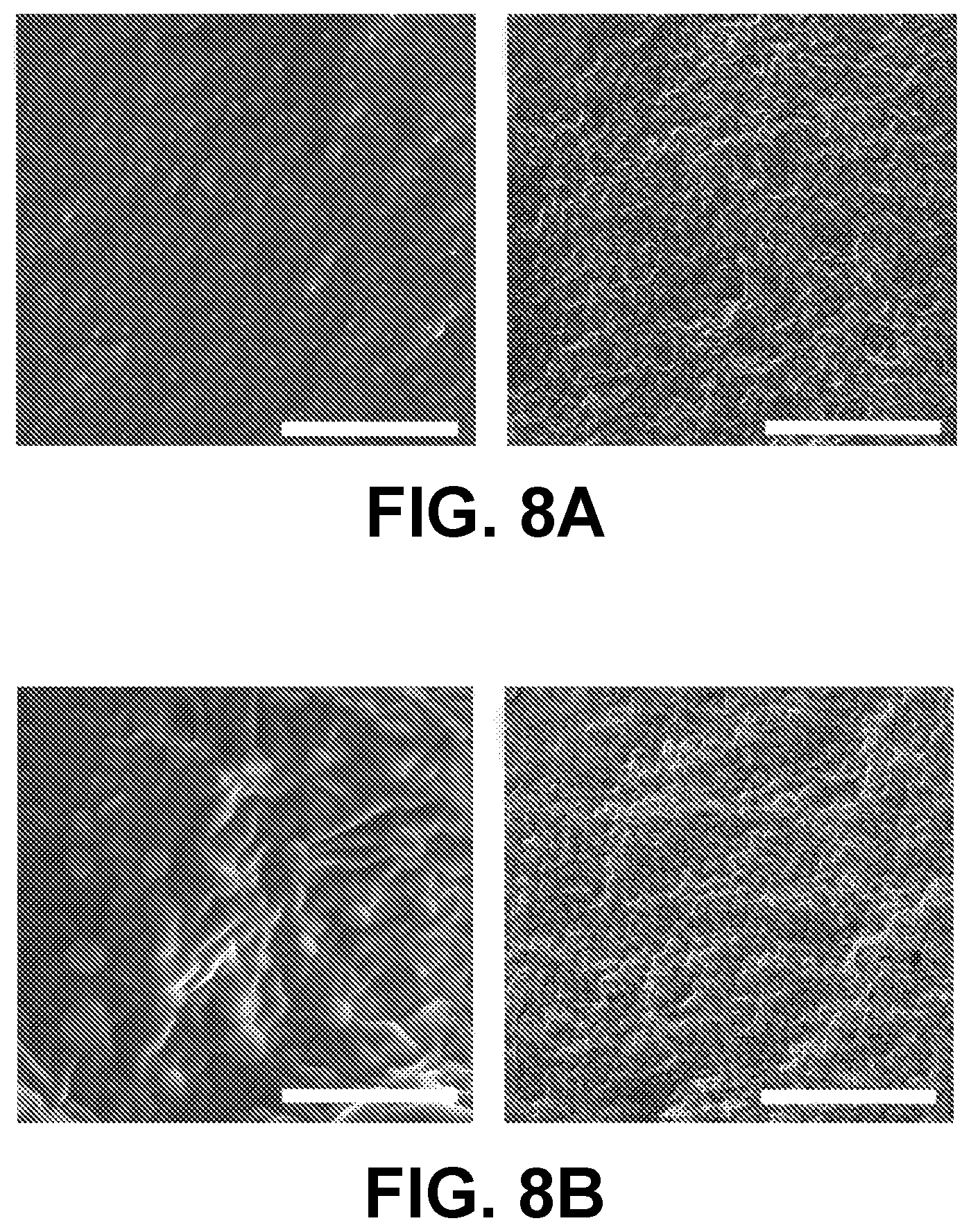 Patent US12612522 Figure 8 – Nanoparticle hydrogels