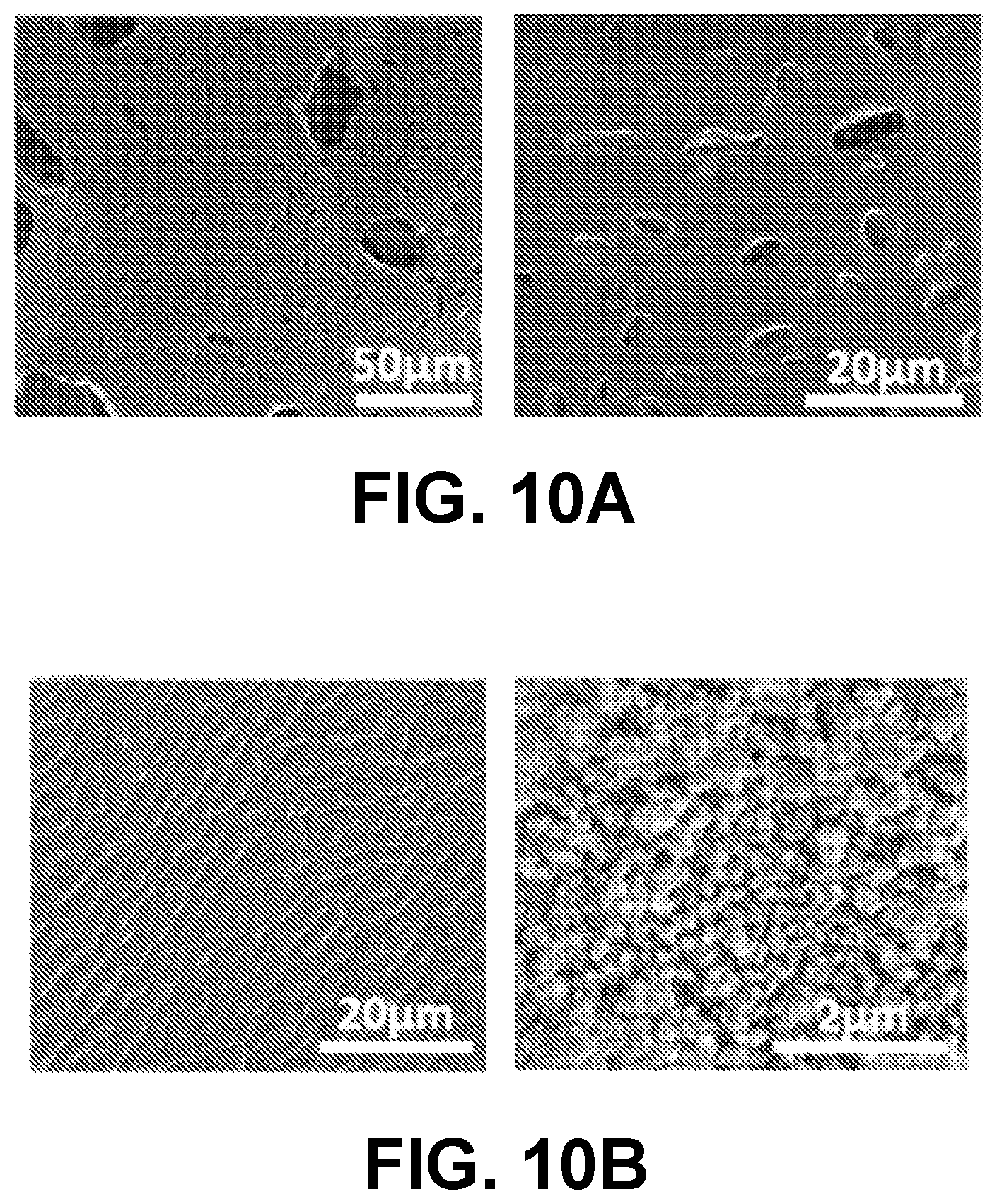 Patent US12612522 Figure 10 – Nanoparticle hydrogels