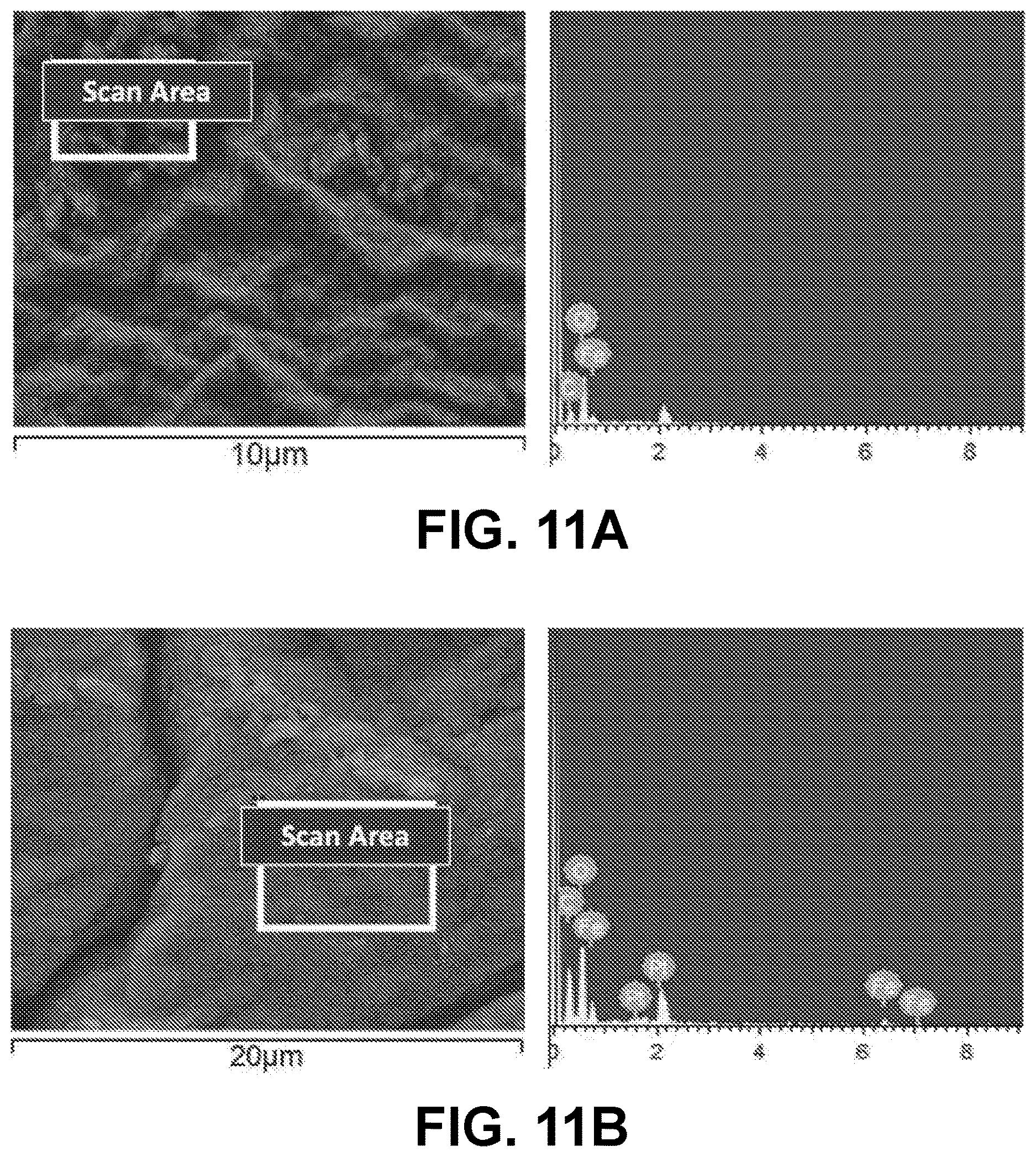 Patent US12612522 Figure 13 – Nanoparticle hydrogels
