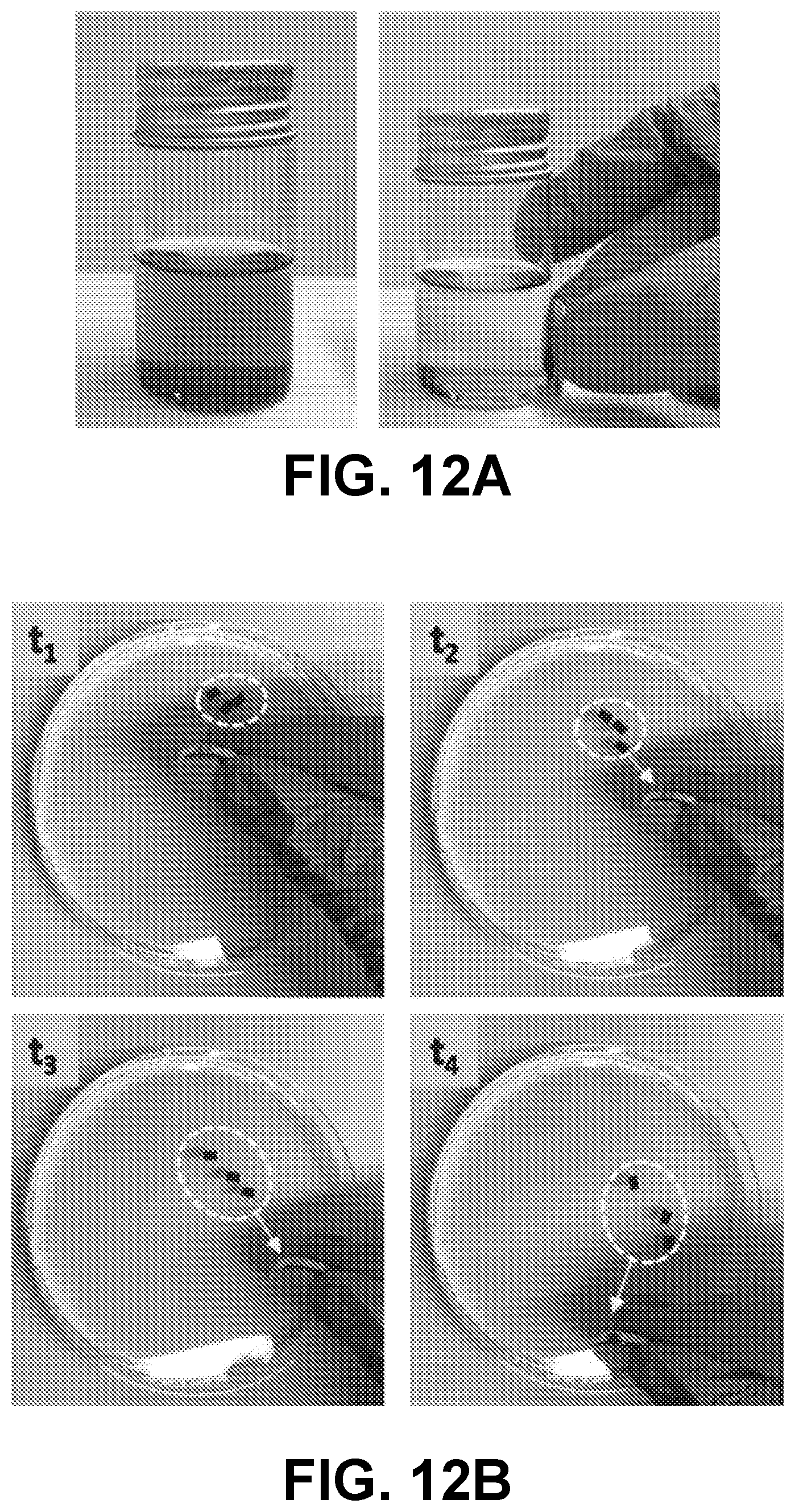 Patent US12612522 Figure 14 – Nanoparticle hydrogels