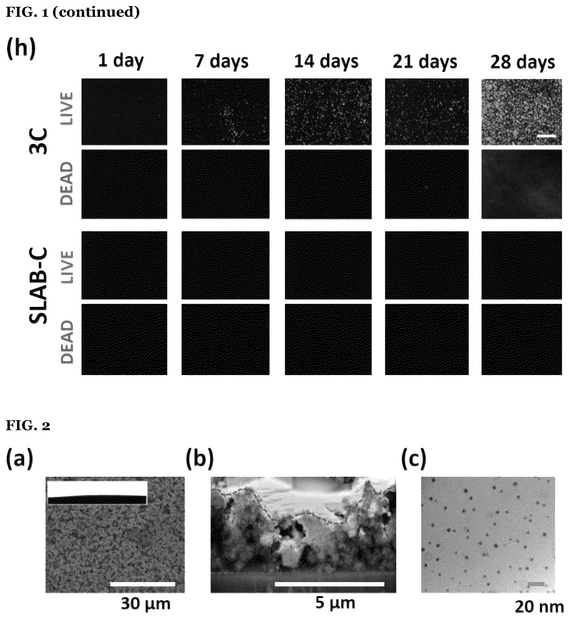 Patent US12612531 Figure 6 – Polymeric binder and high molecular weight polymer antifouling compositions