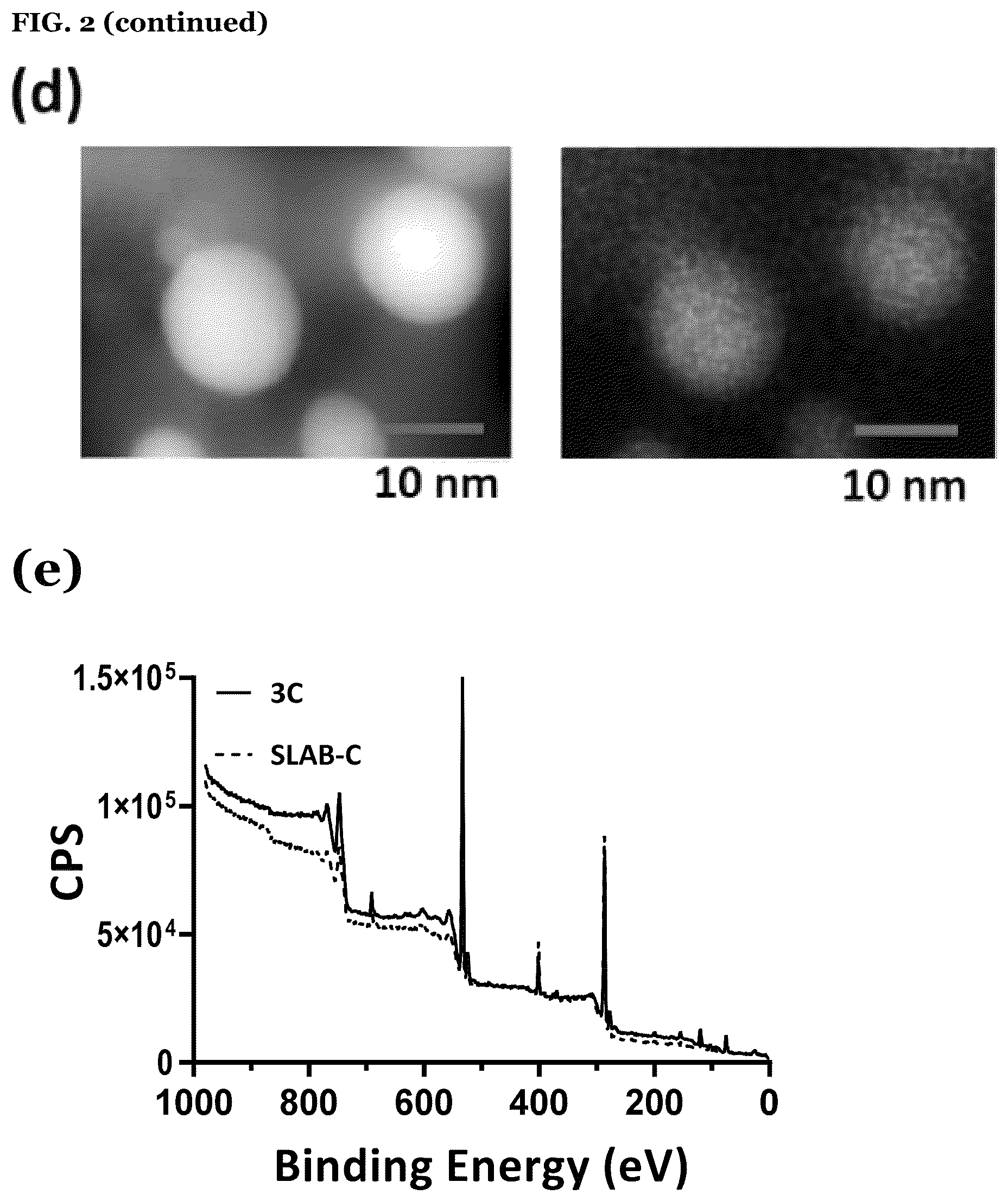 Patent US12612531 Figure 7 – Polymeric binder and high molecular weight polymer antifouling compositions