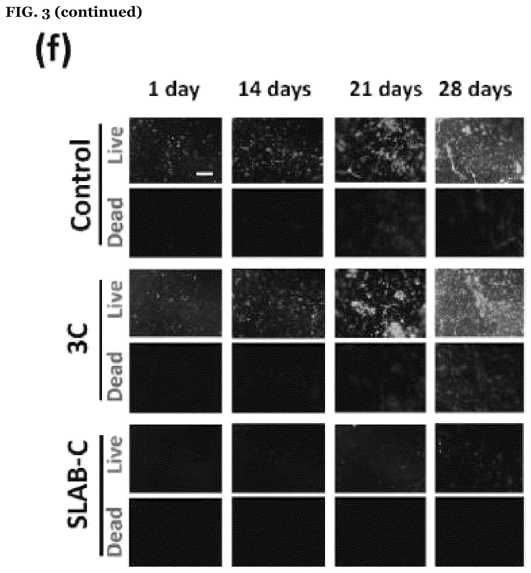 Patent US12612531 Figure 12 – Polymeric binder and high molecular weight polymer antifouling compositions