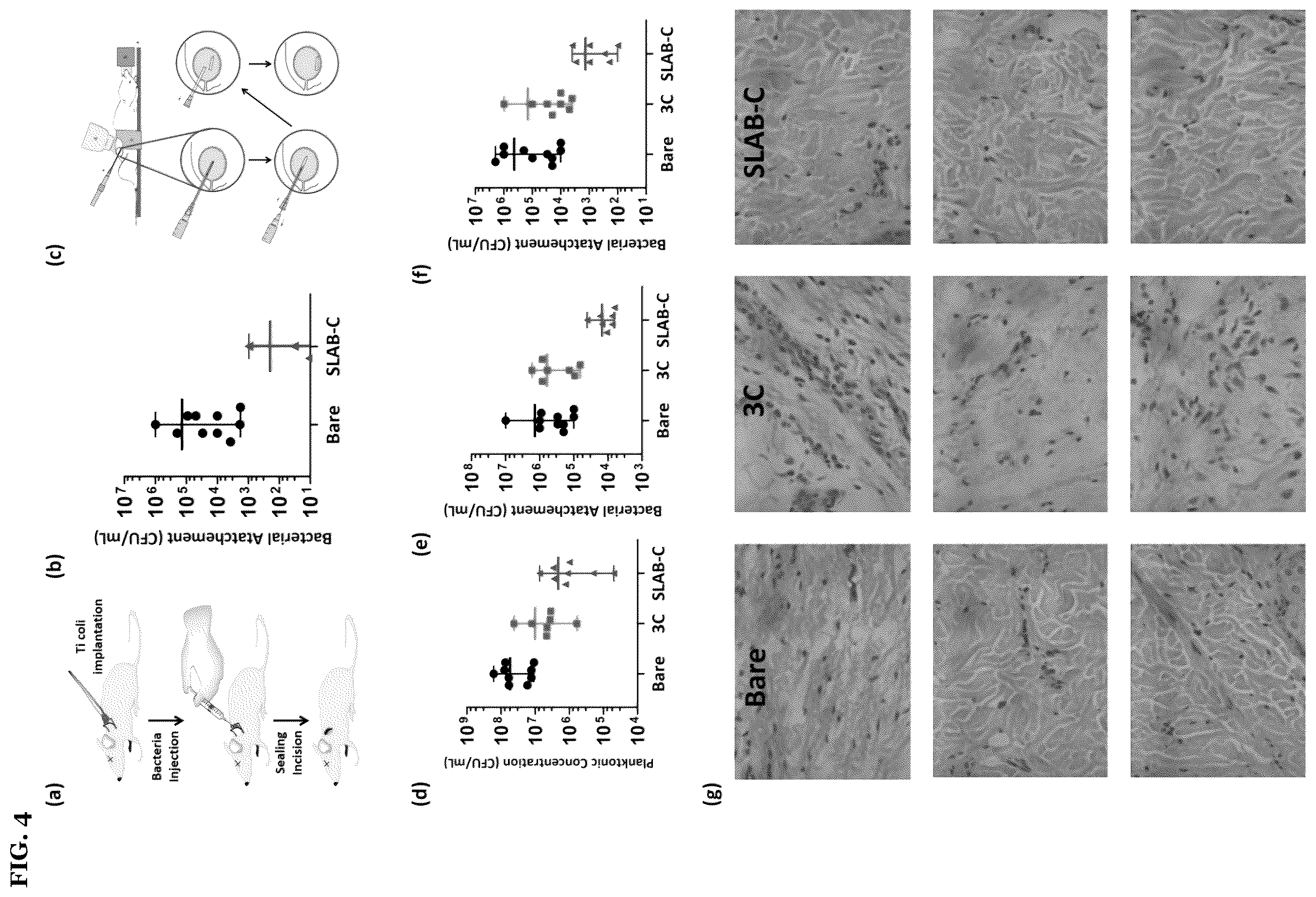 Patent US12612531 Figure 14 – Polymeric binder and high molecular weight polymer antifouling compositions