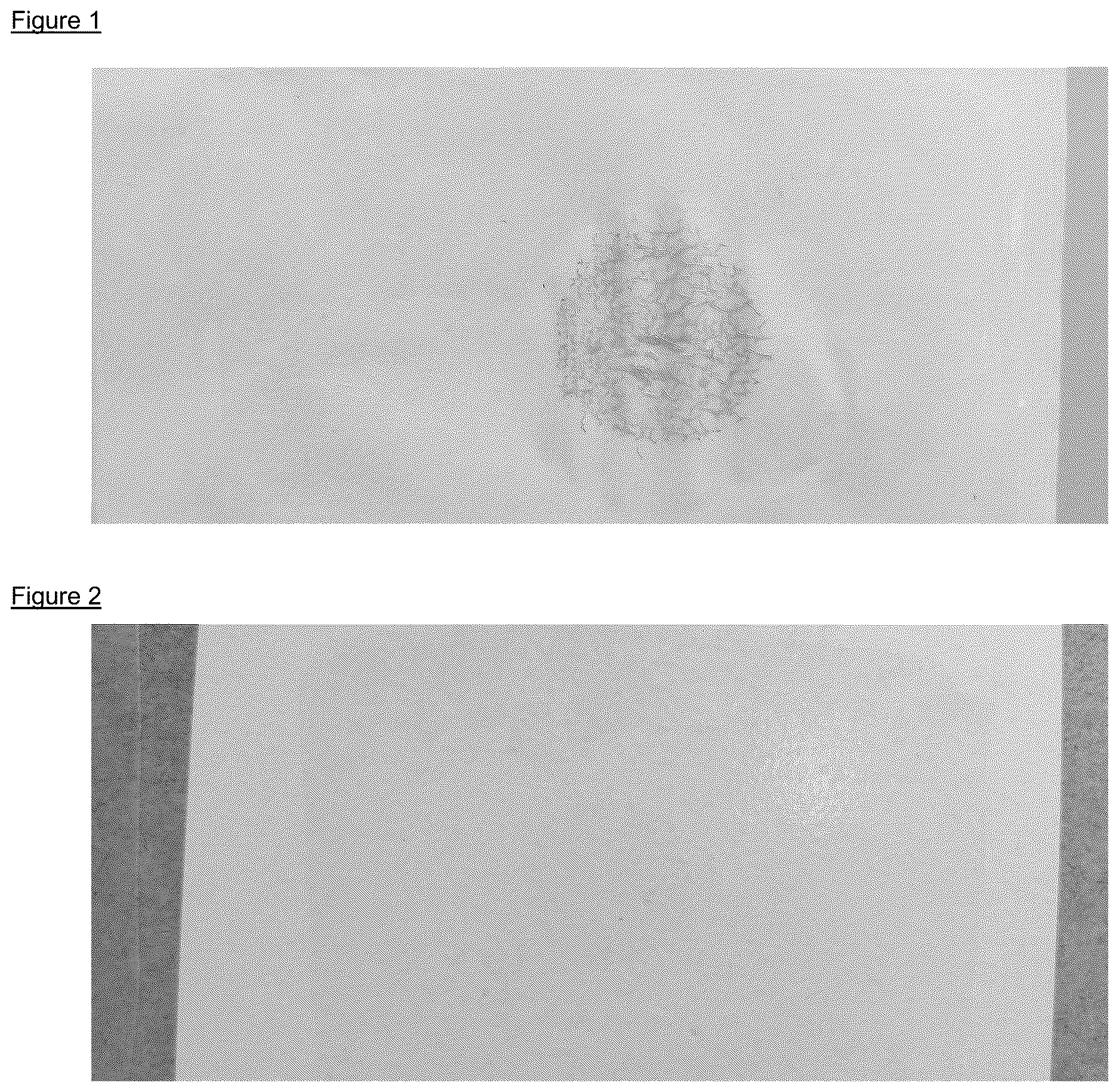 Patent US12612534 Figure 1 – Radical-curable composition